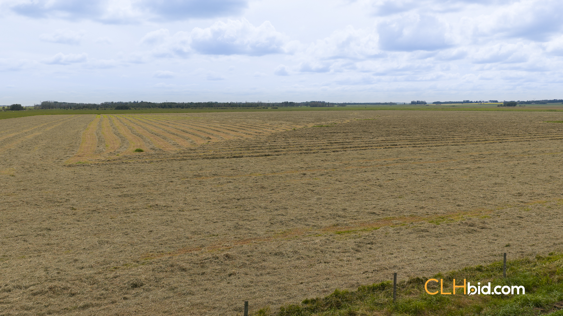 Web-SylvanLakeCountry-15