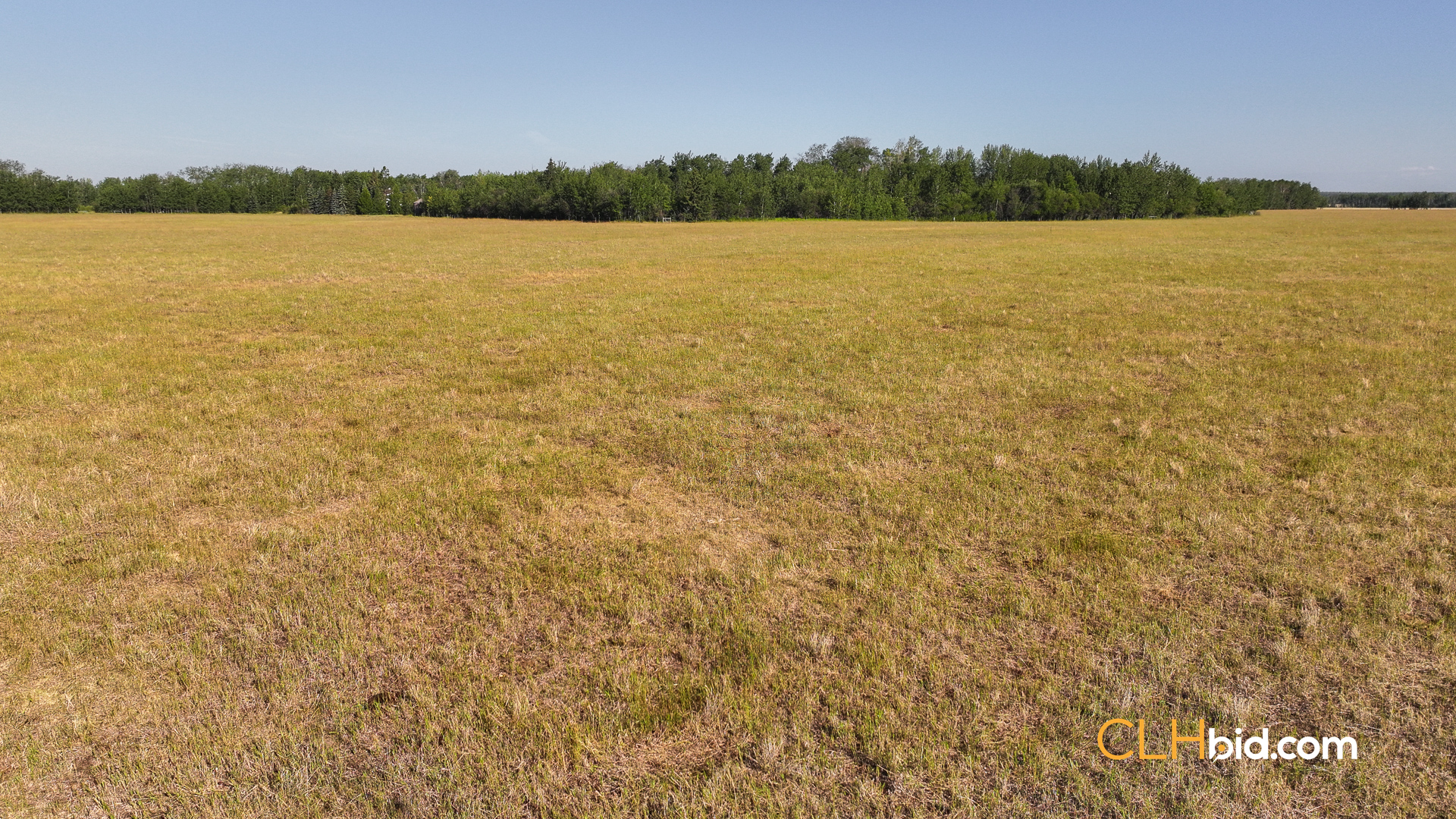 Web Rustlers Roost-2