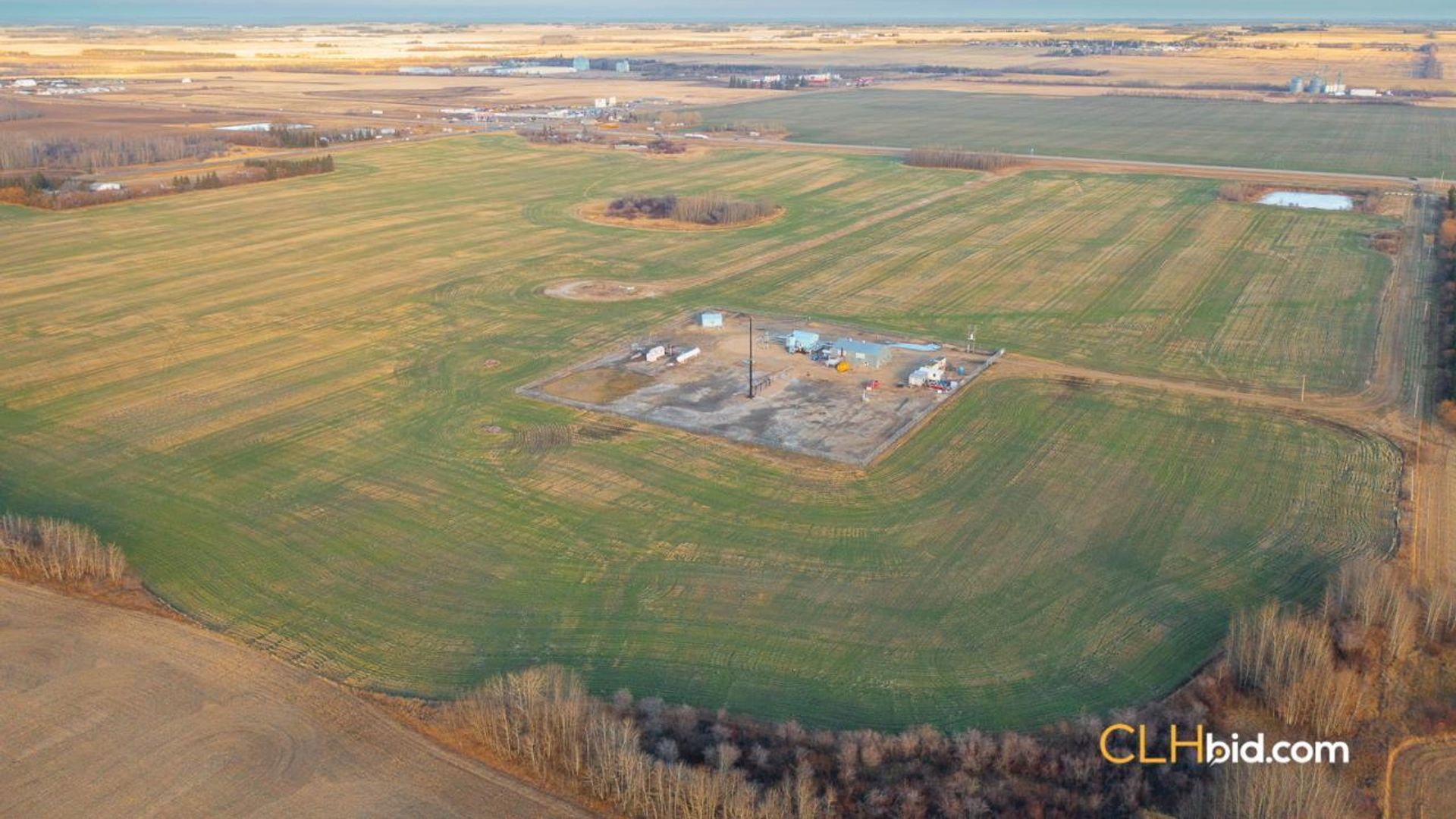 landyoursturgeon-2-6