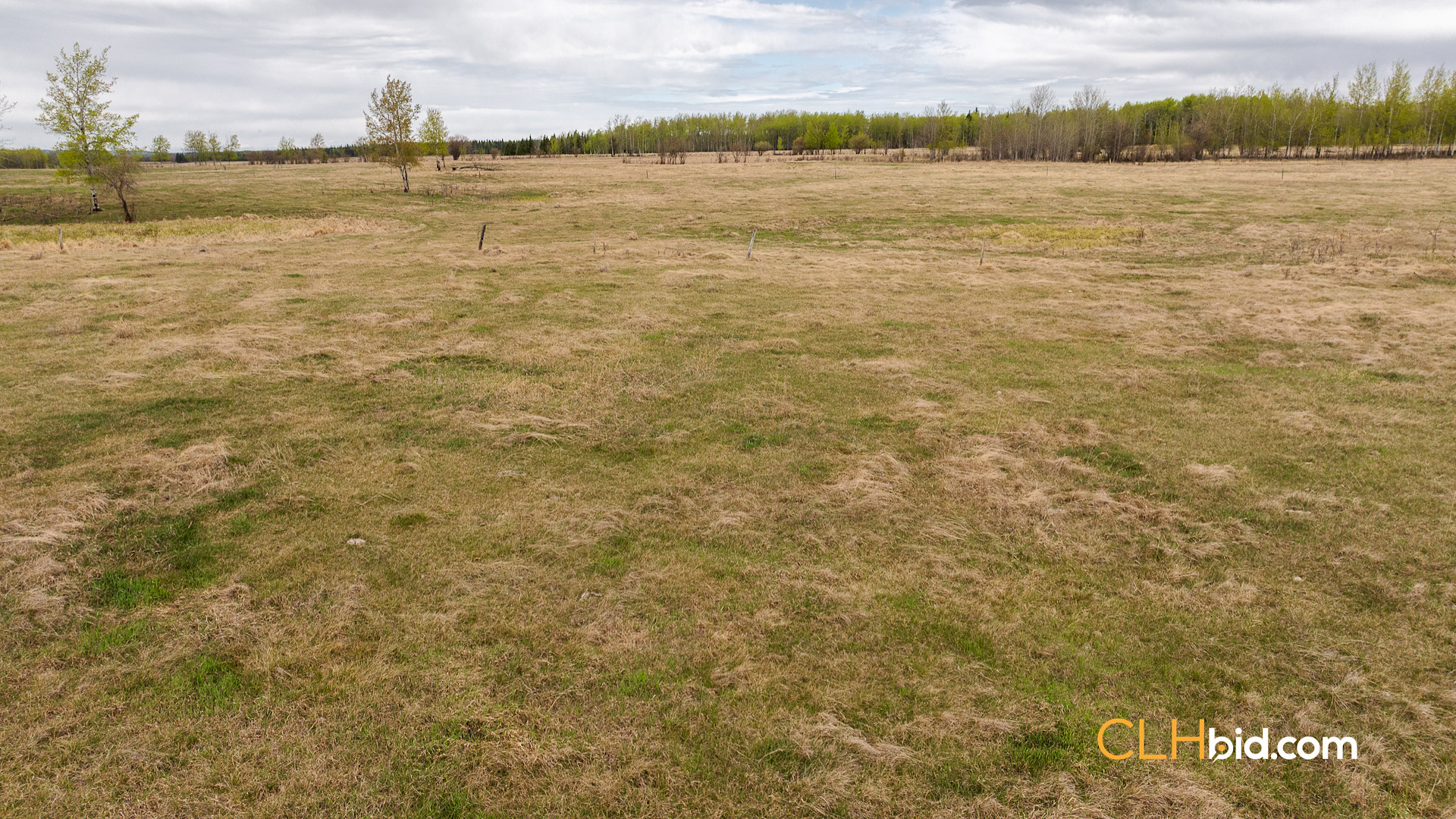 Web Deer Hill Homer Spring-10