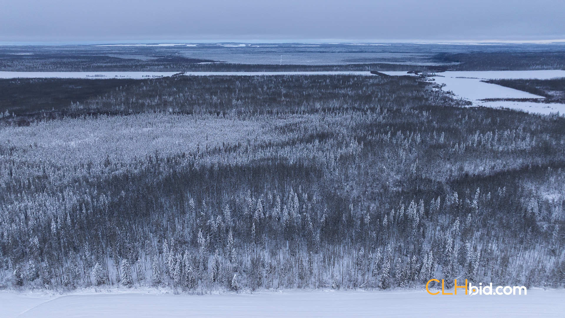 Web Moonshine Hideaway P1-4