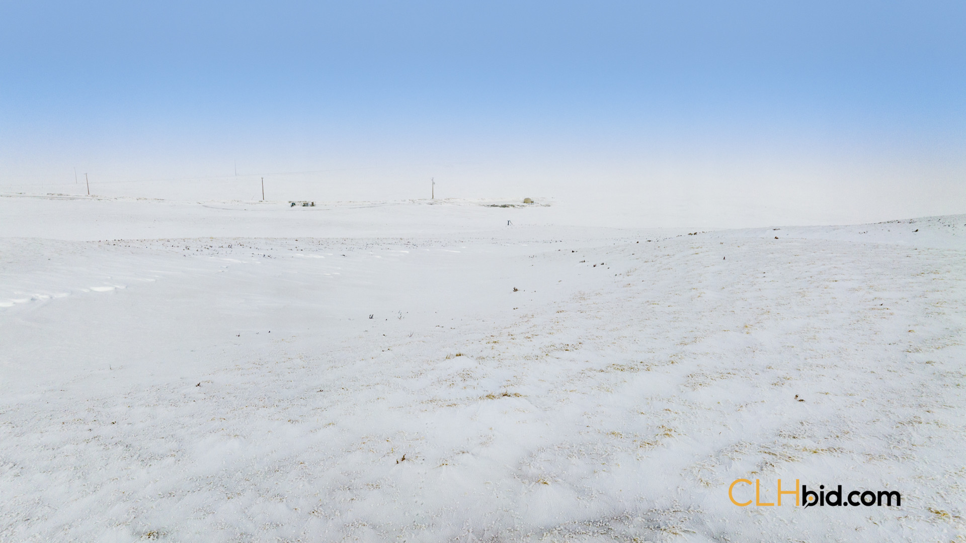 Web169-AcresOfPedigree-53