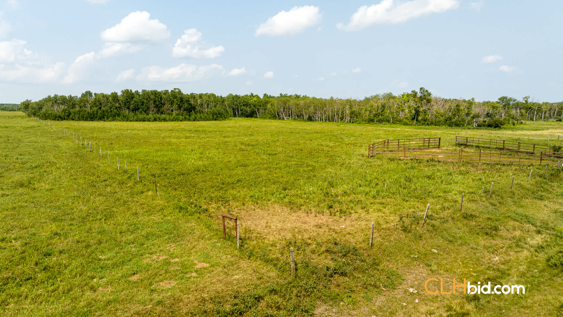 Web-Virden-Select-30