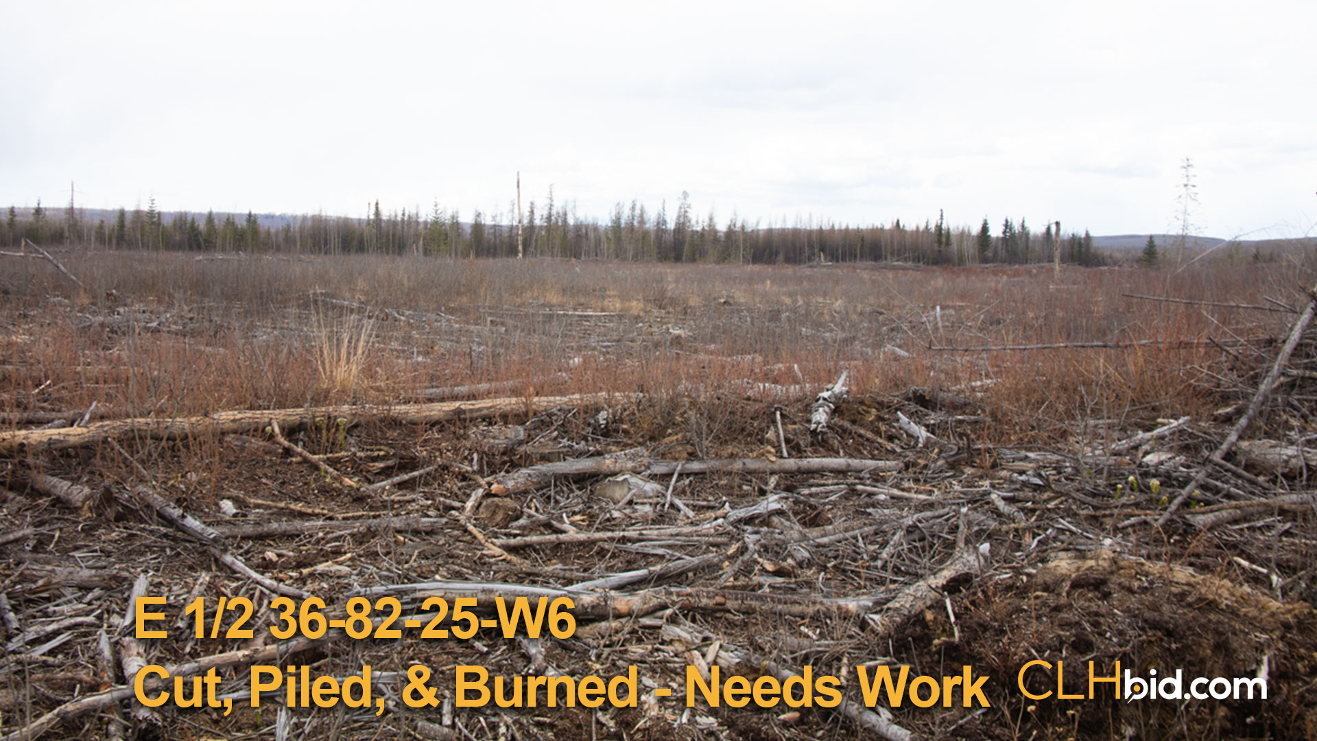 814-EH-36-82-25-W6-Cut-piled-burned