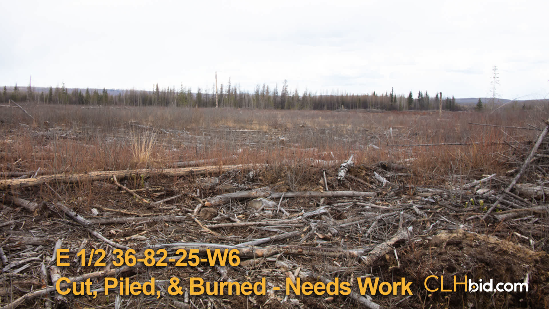 814-EH-36-82-25-W6-Cut-piled-burned