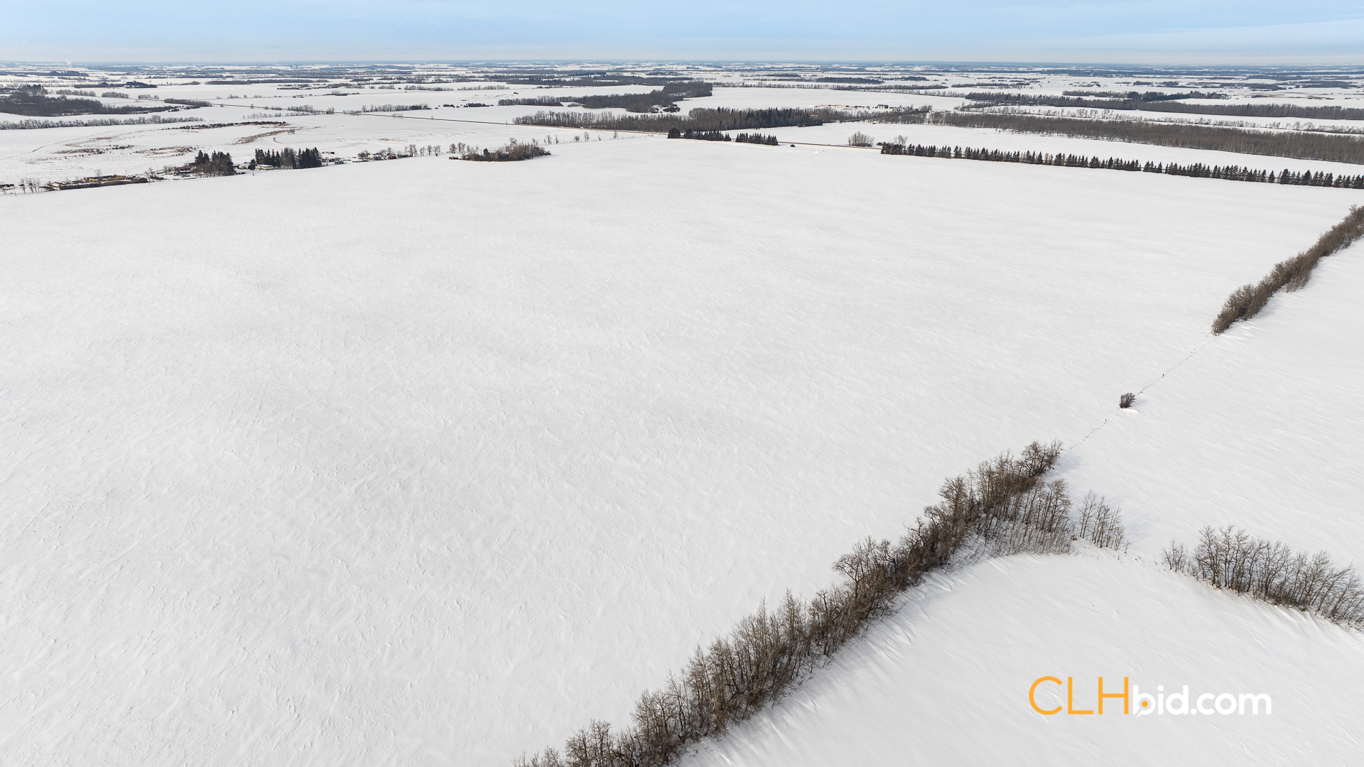 Web-LamontTopGrade-4