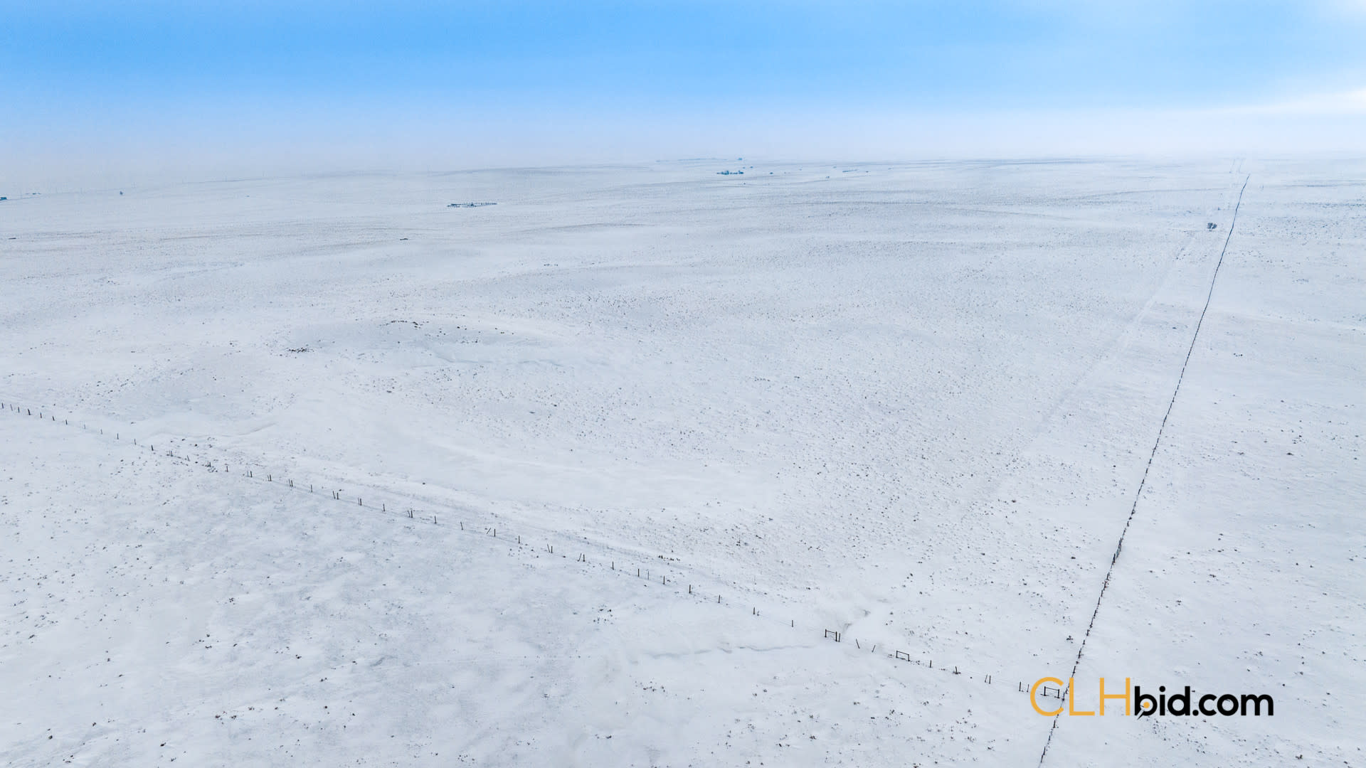 P2 Web169-AcresOfPedigree-47