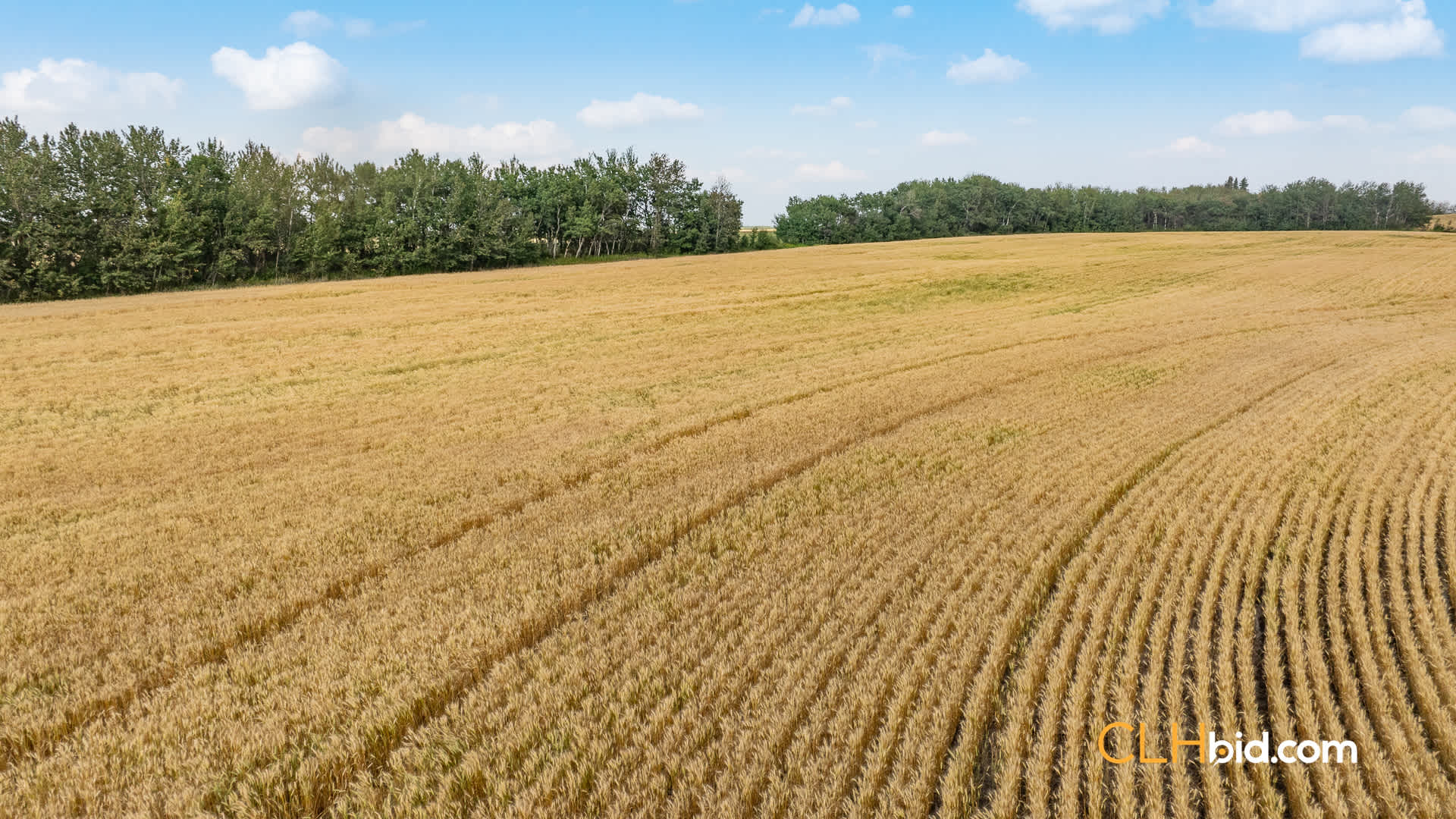 View from above of County Line Investor