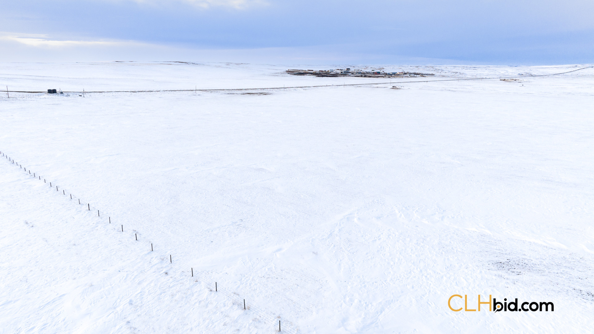 P4 Web169-AcresOfPedigree-23