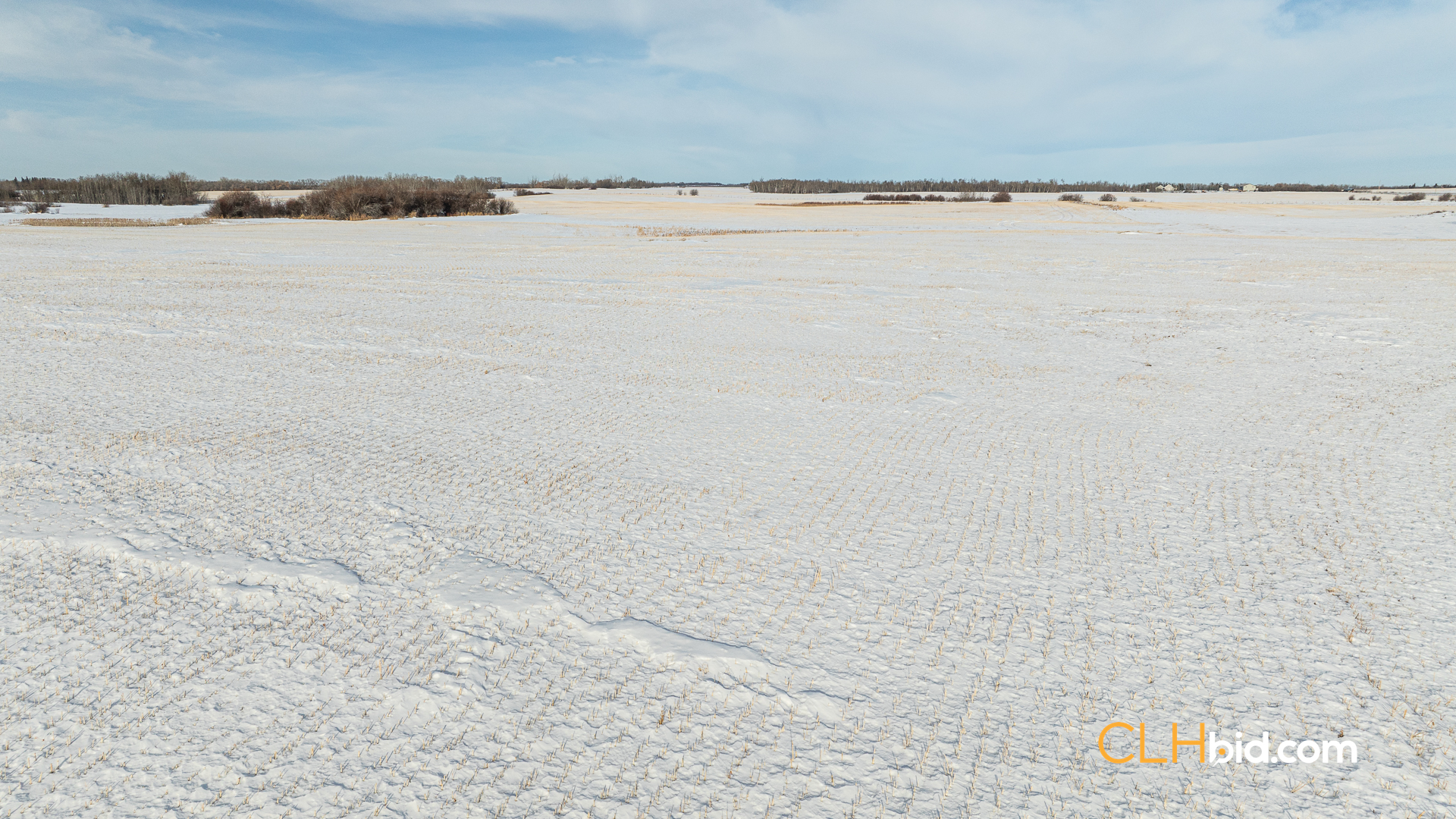 Web-TripleHorsepower-17