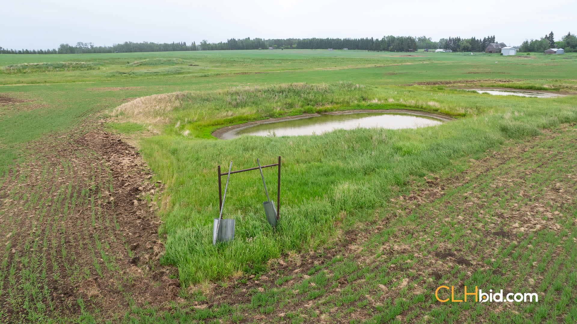 Web-Calmar-11