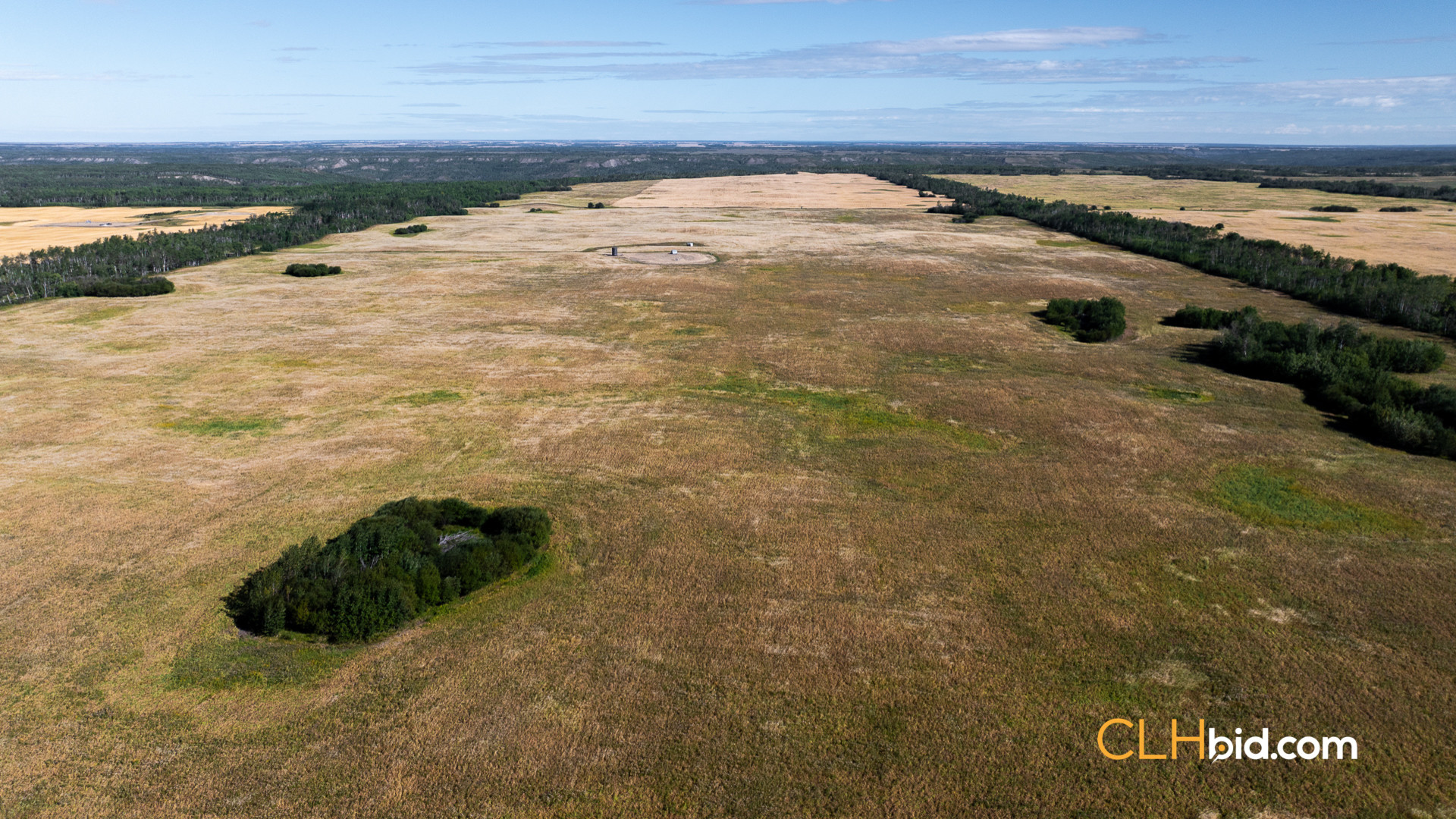 Web Veteran Legacy-13