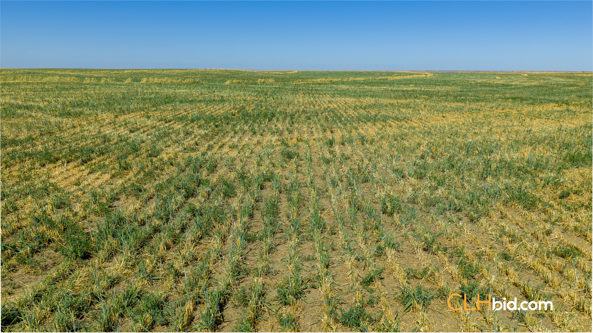 Web-MegaFortyMile-48