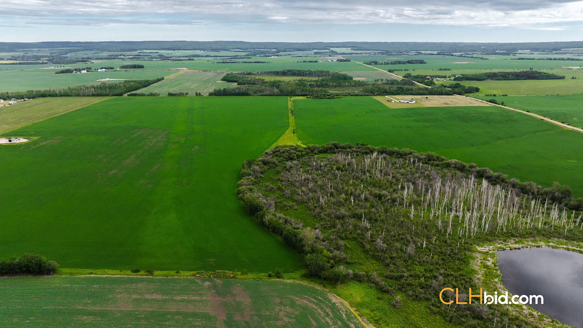 Web Triple Off Hwy 59-3