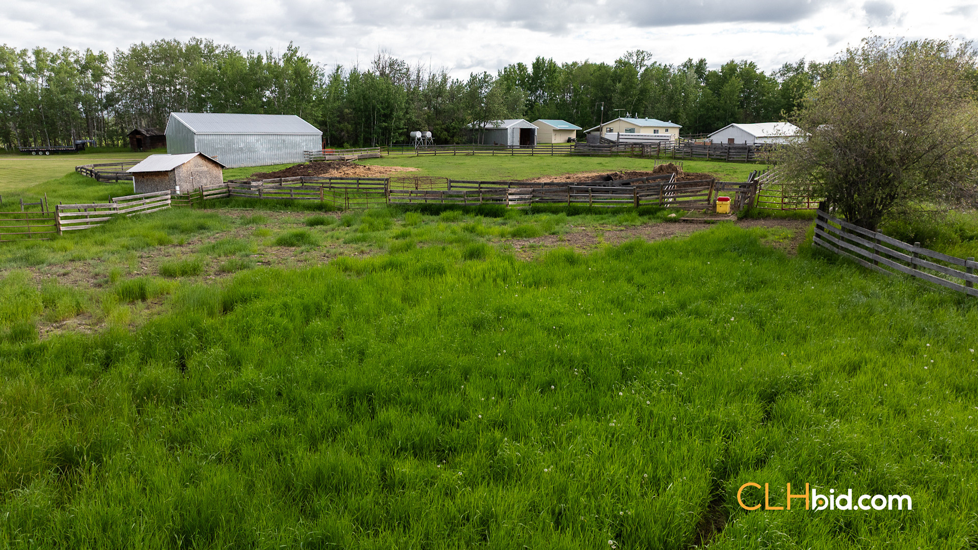 Web The Cattle Crossing-22