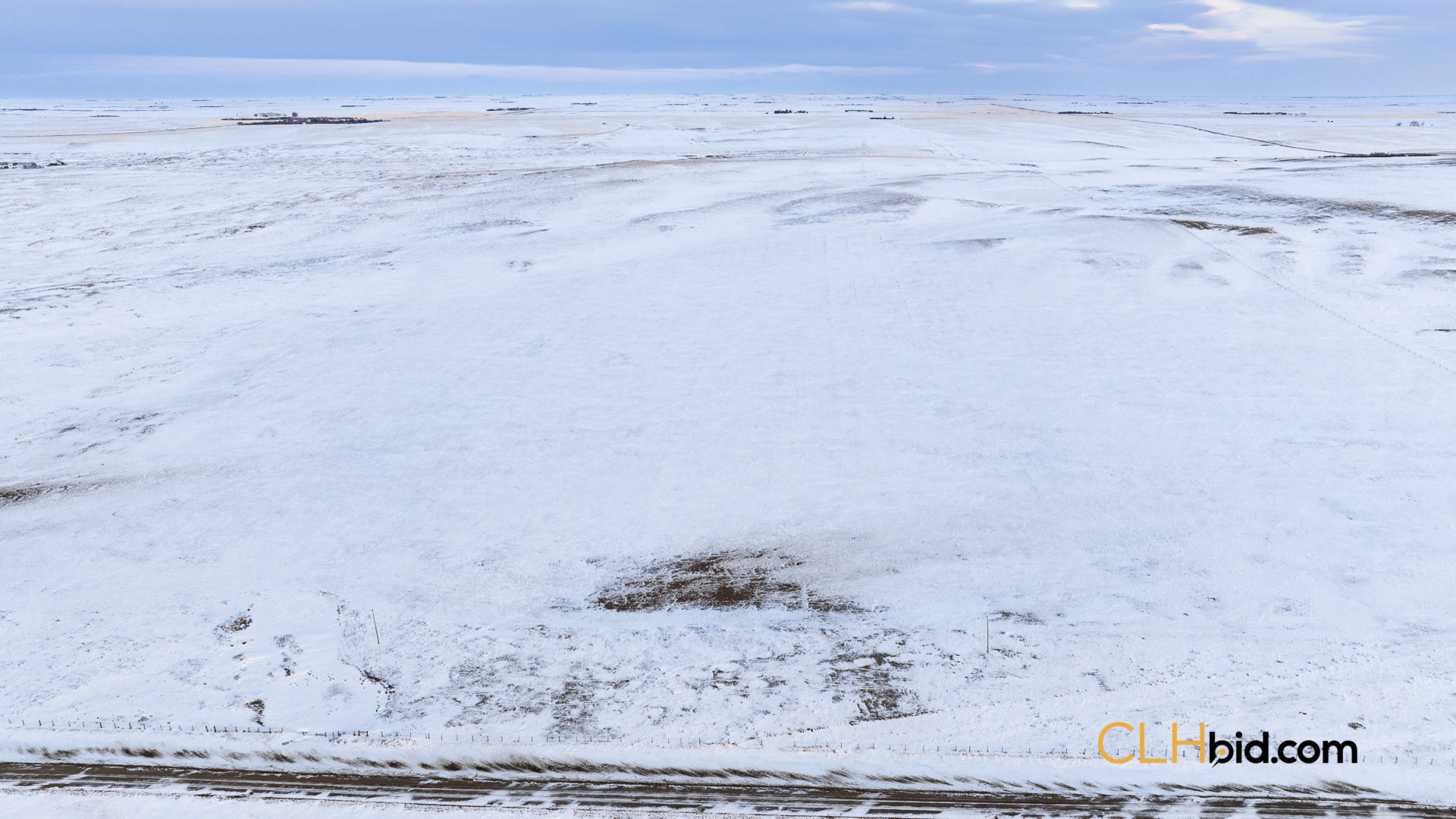 P4 Web169-AcresOfPedigree-18