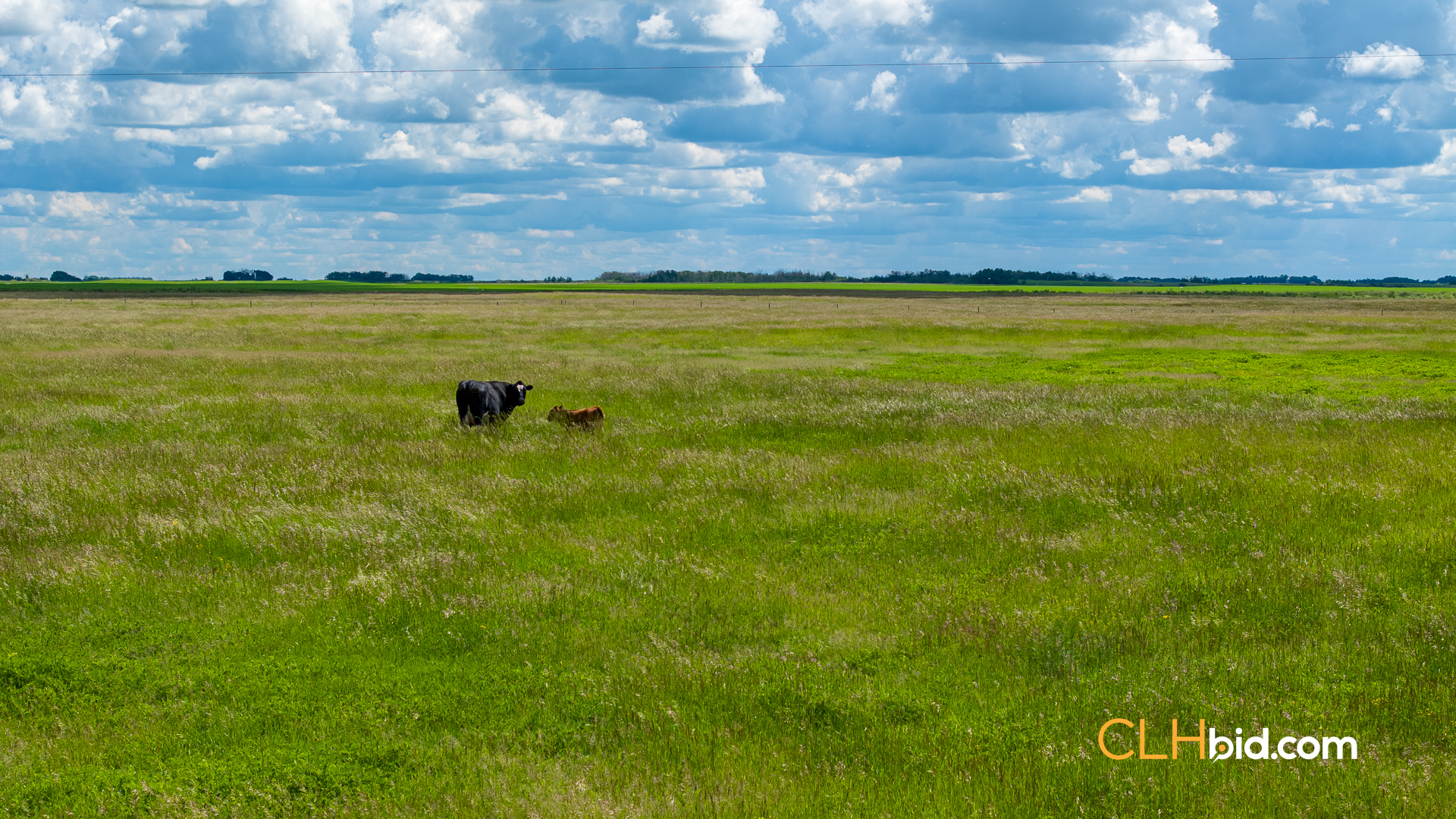 Web-Prairie-Haven-Ranch-29