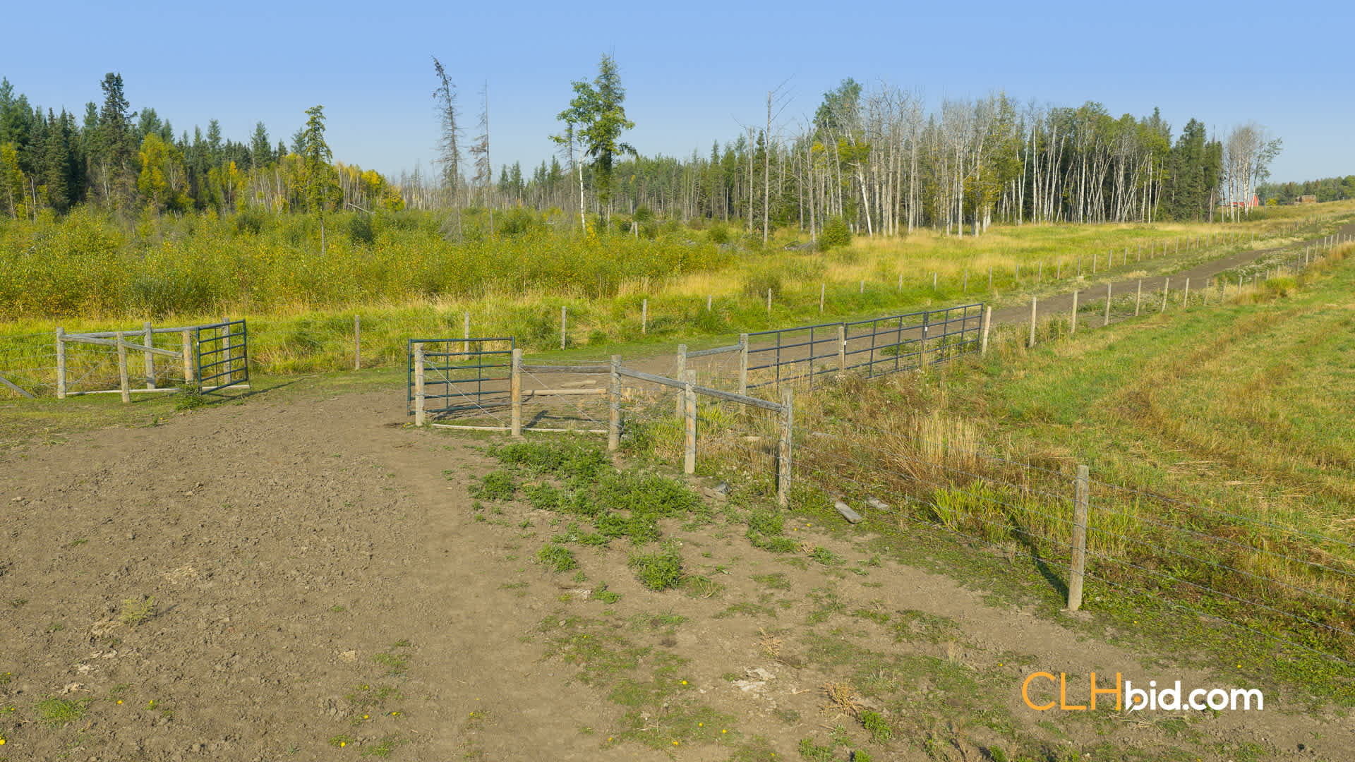 Web-Homestead Horizon-6