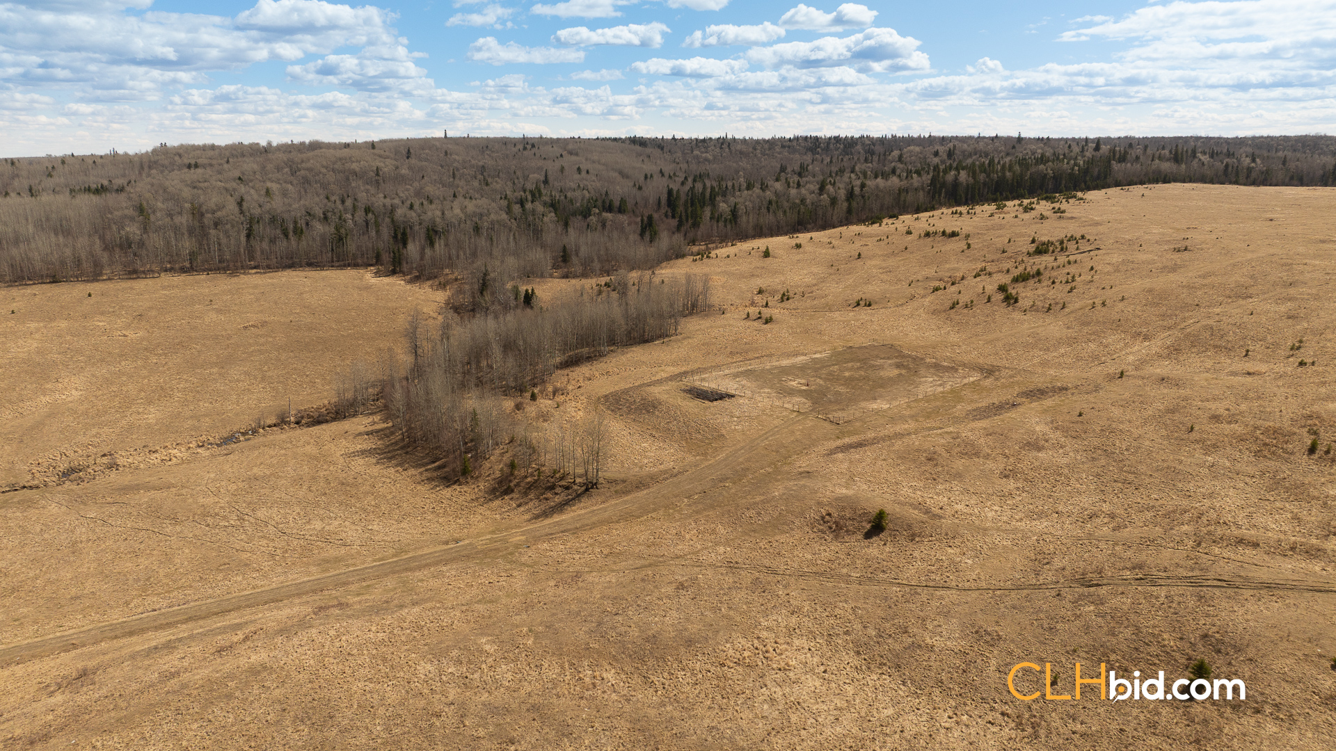 Web-GrazingGroundsNEW-3