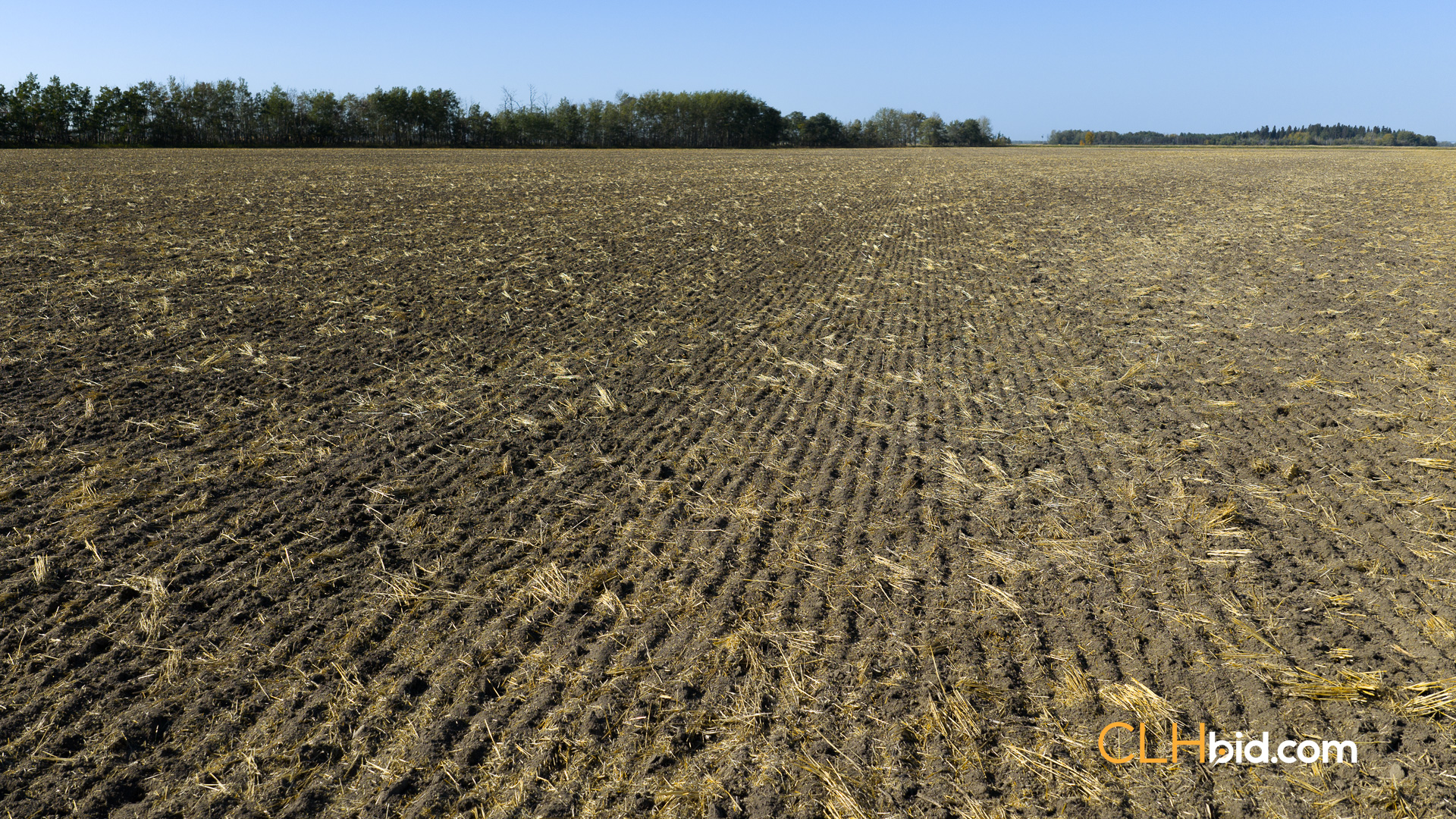 Web-WestlockUnlocked-1