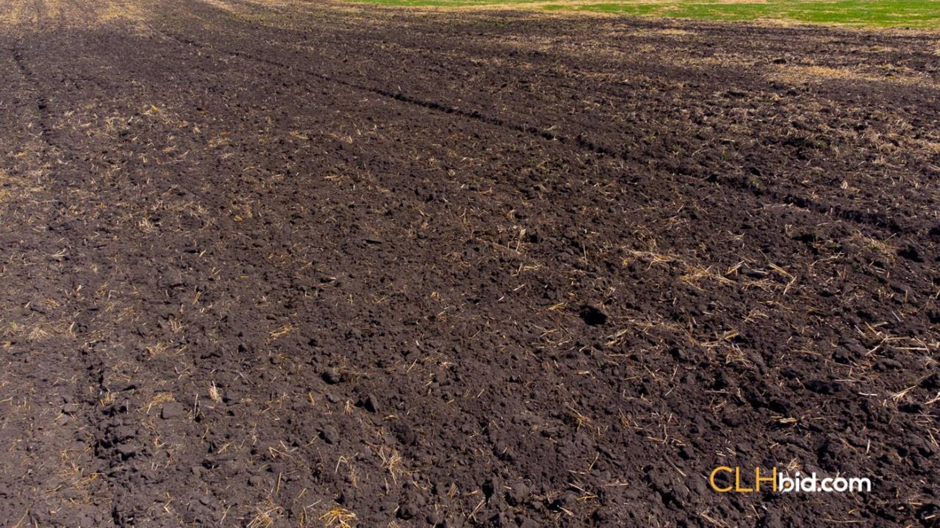 thelongmilevegreville-1-4