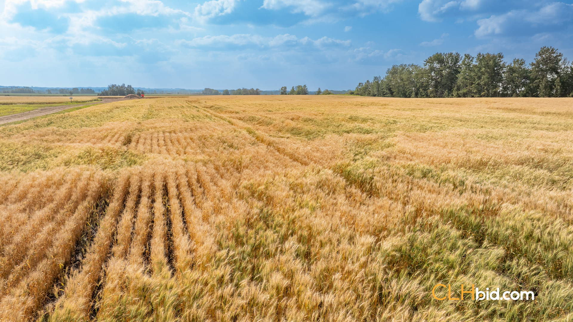 Web-CountyLineInvestor-11