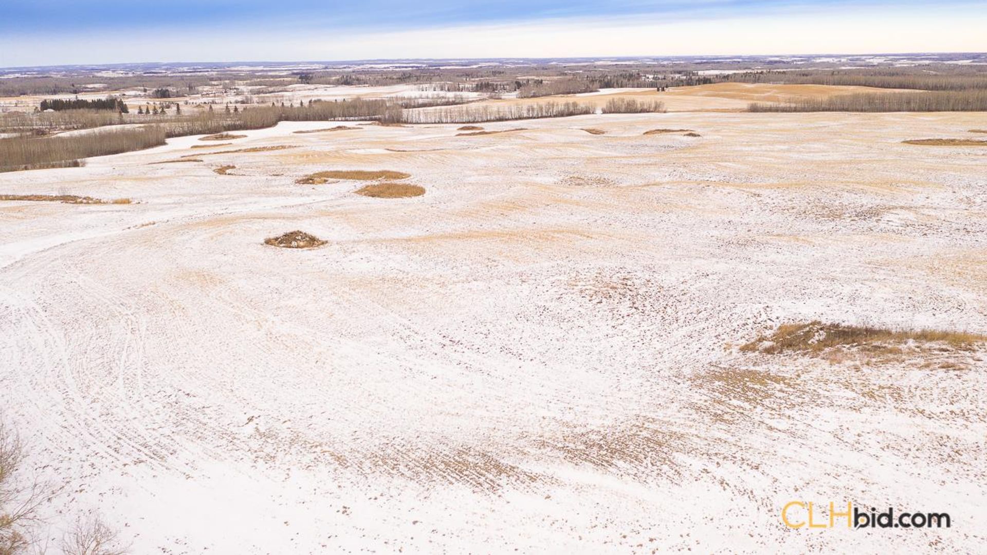 barrheadbigoptions-1-11