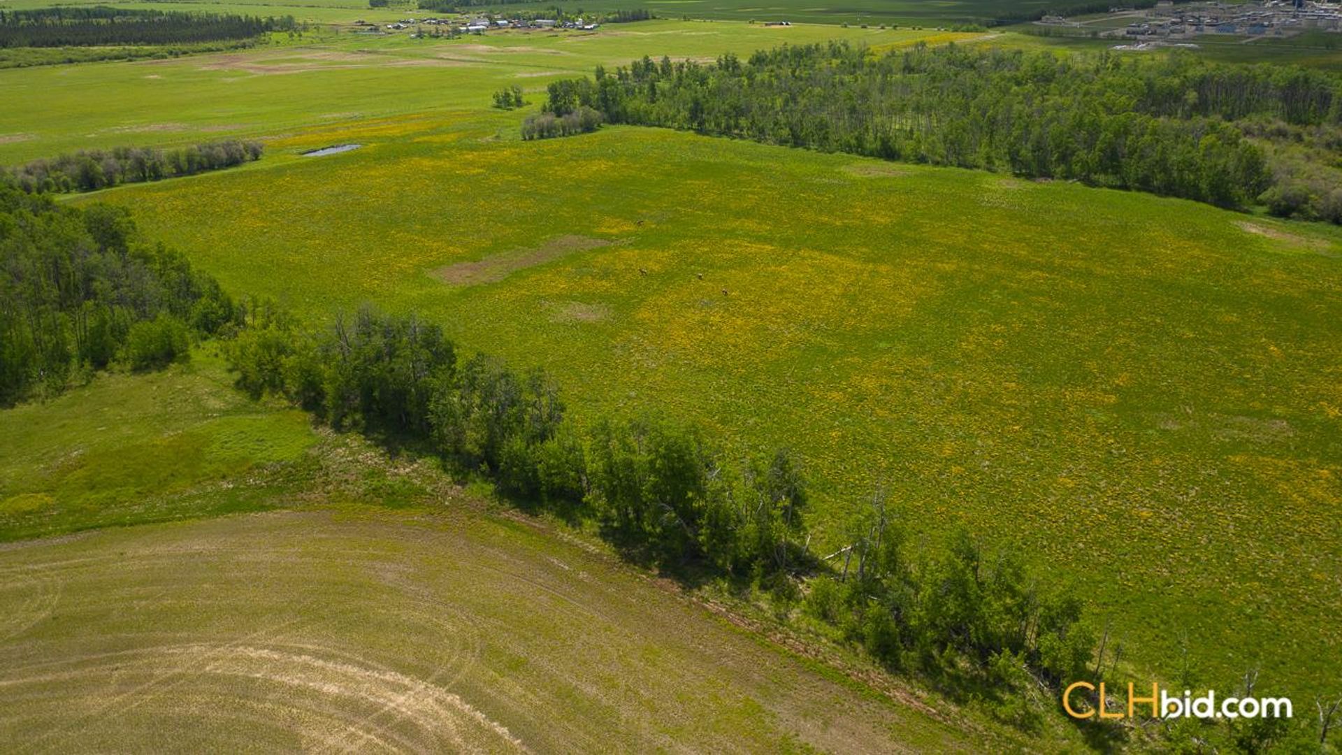 bigskymountainview-6-2