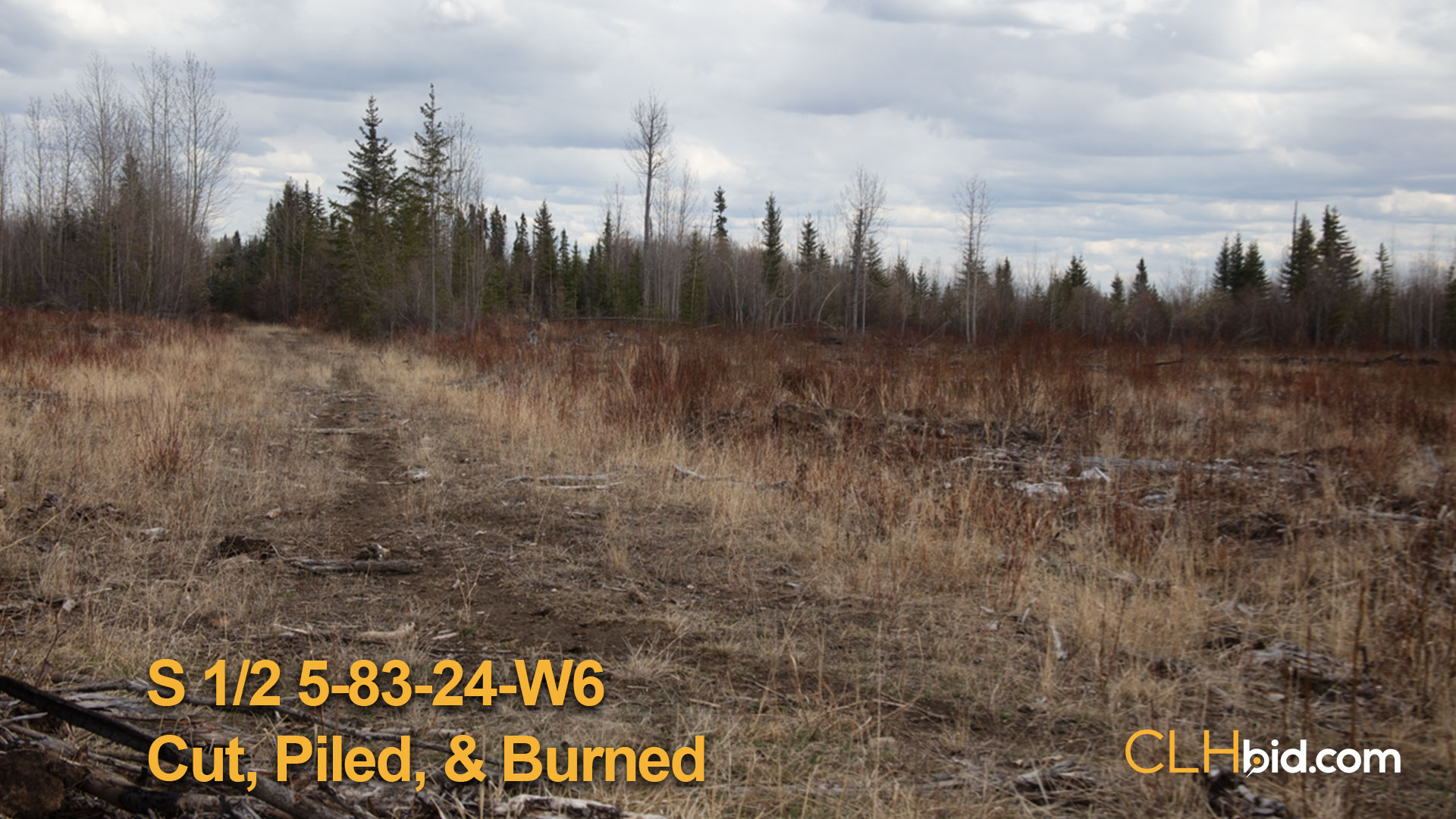 8140-SH-5-83-24-W6-Cut-piled-burned