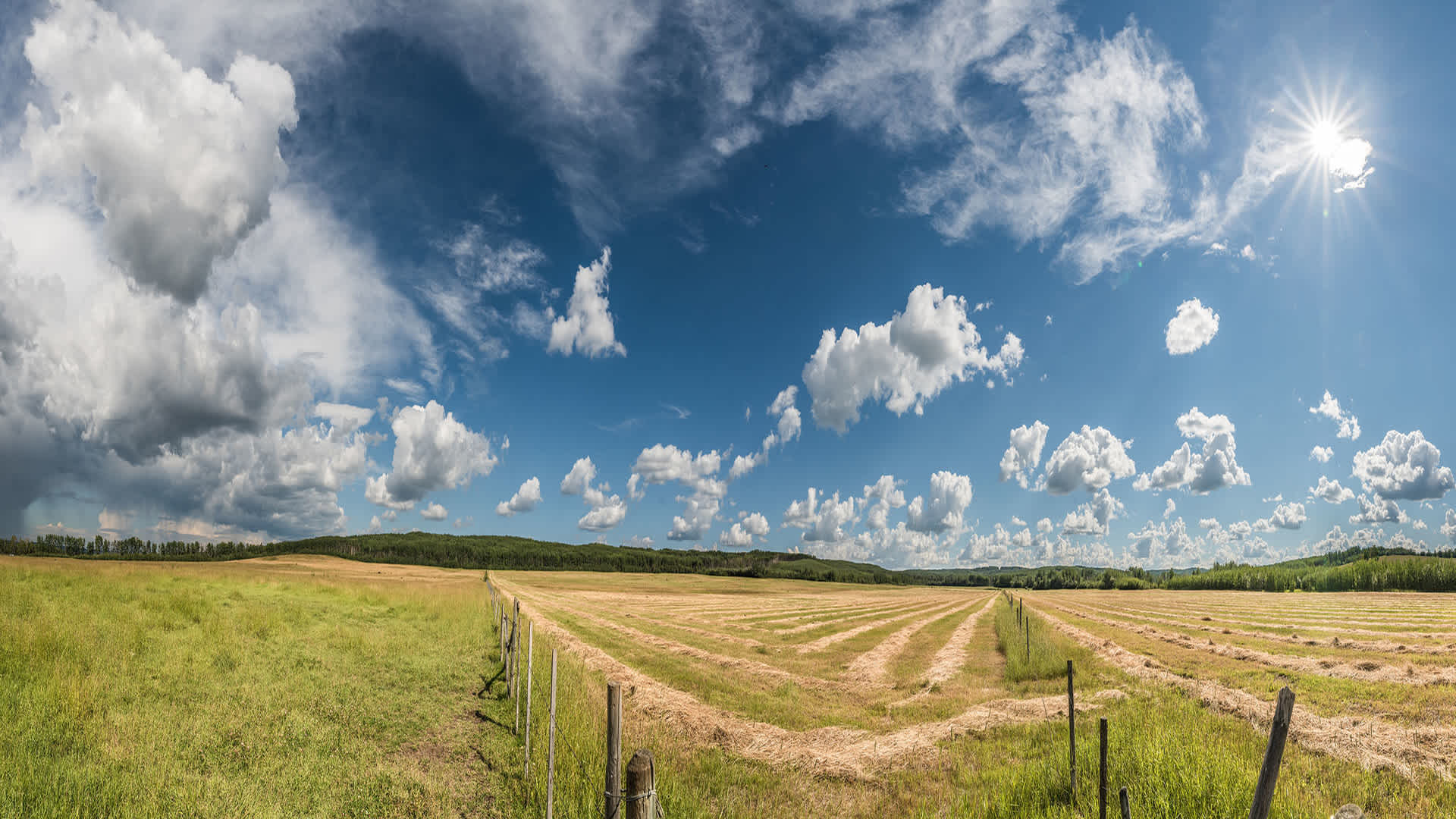 016 2657-Pano small