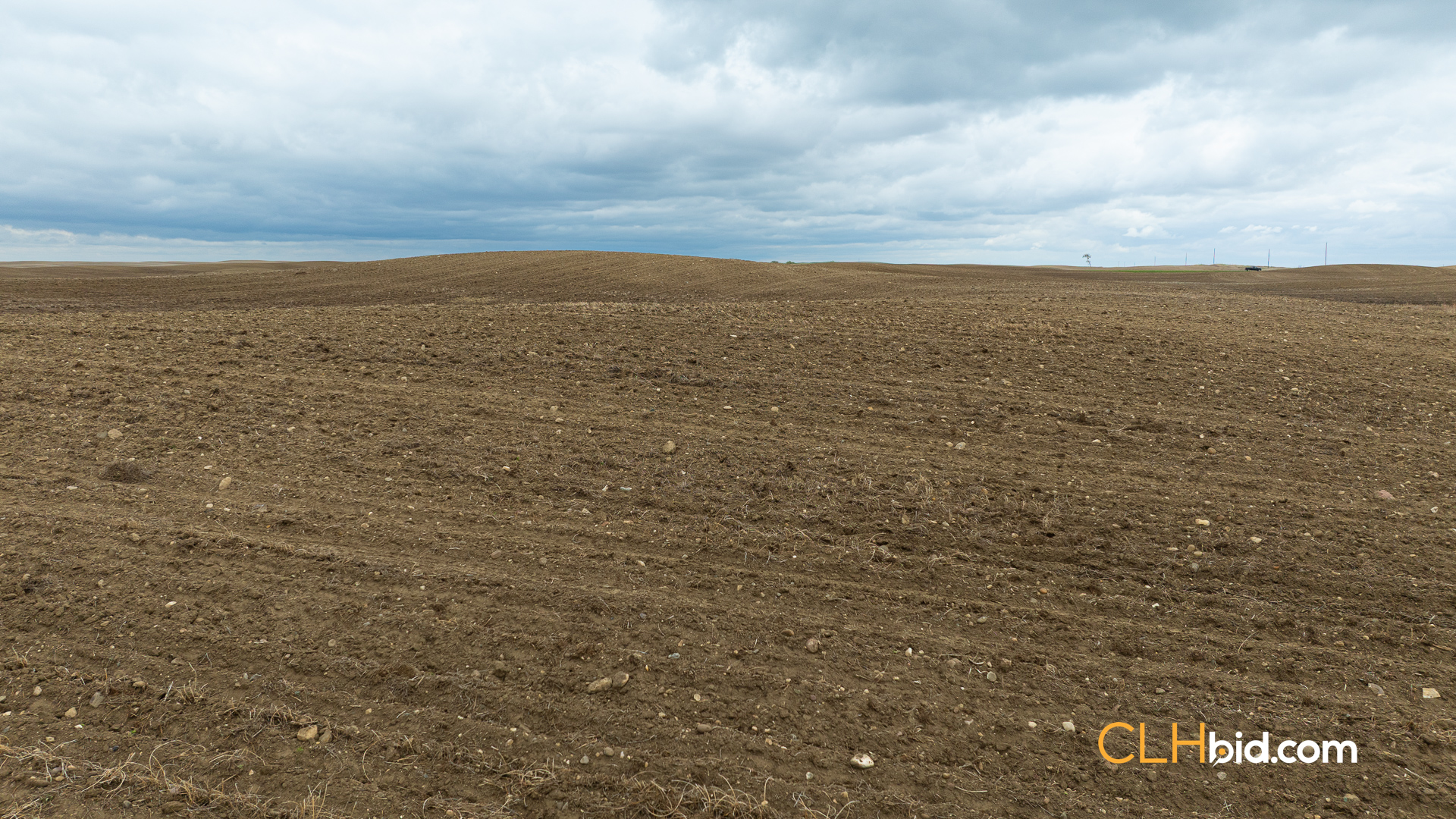 Web-LegacyMoveNEW-38