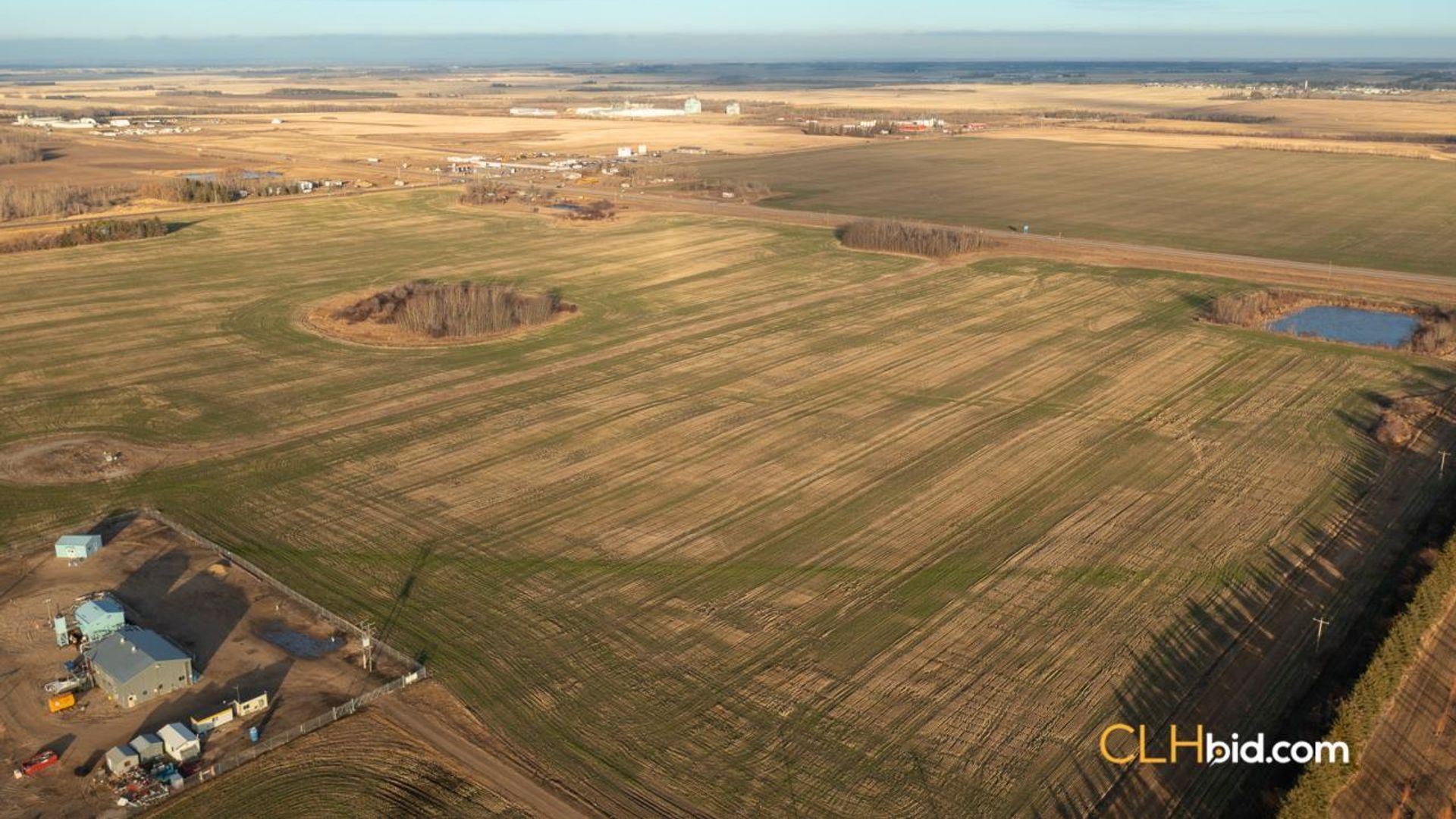 landyoursturgeon-2-3