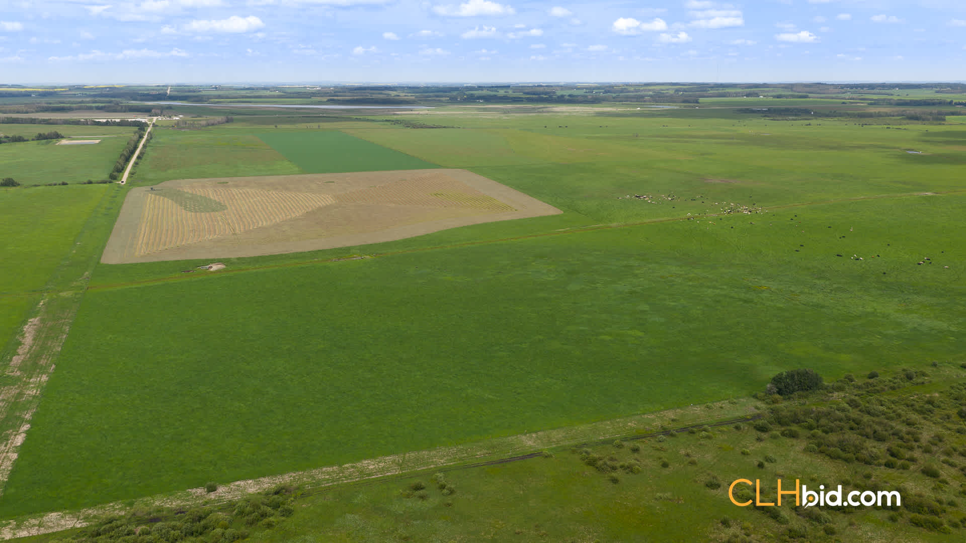 View from above of Sylvan Lake Country