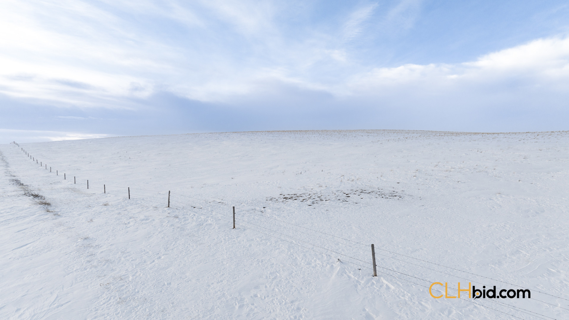 Web169-AcresOfPedigree-7