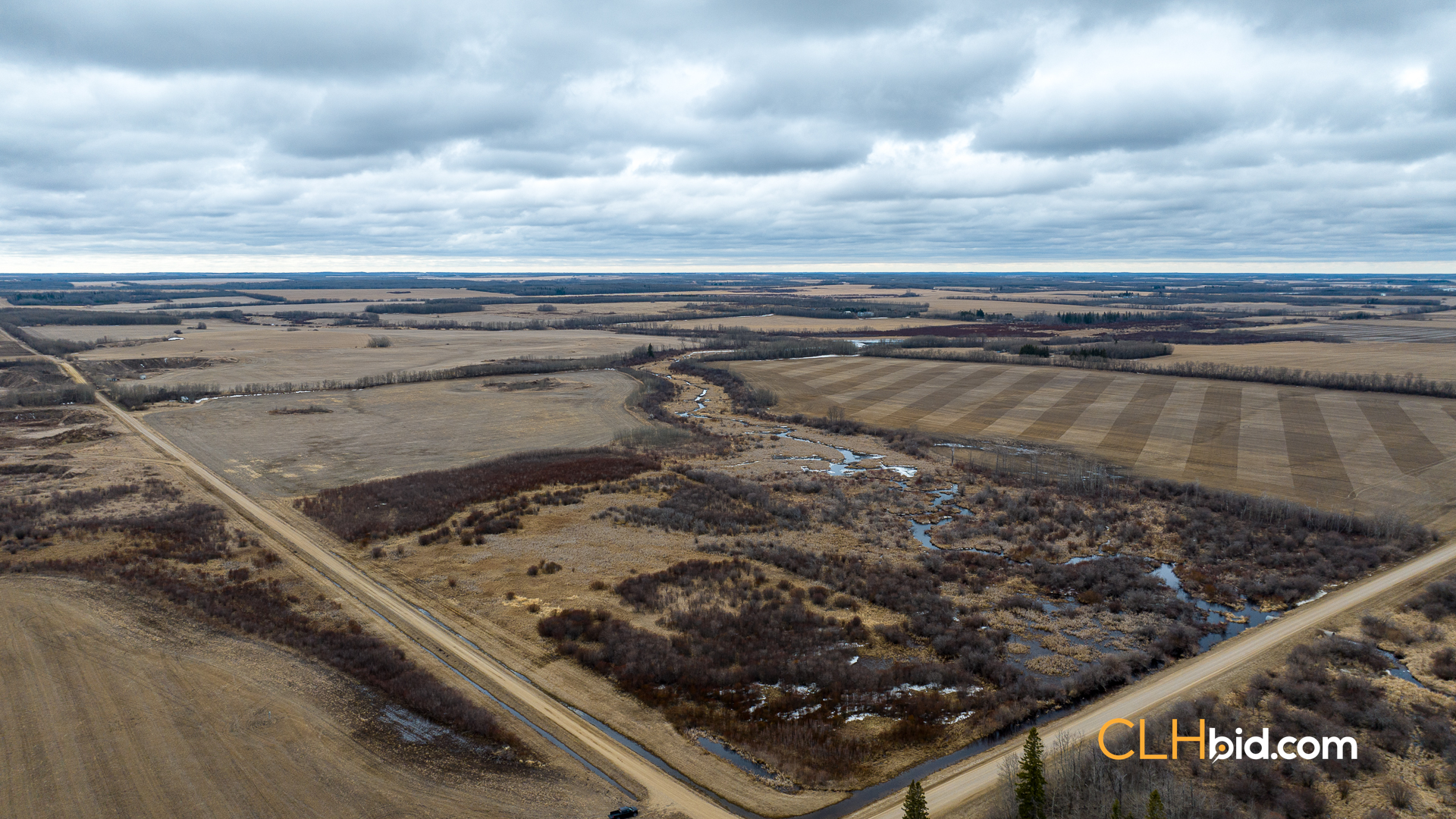 Web-Star-City-Rockstar-2