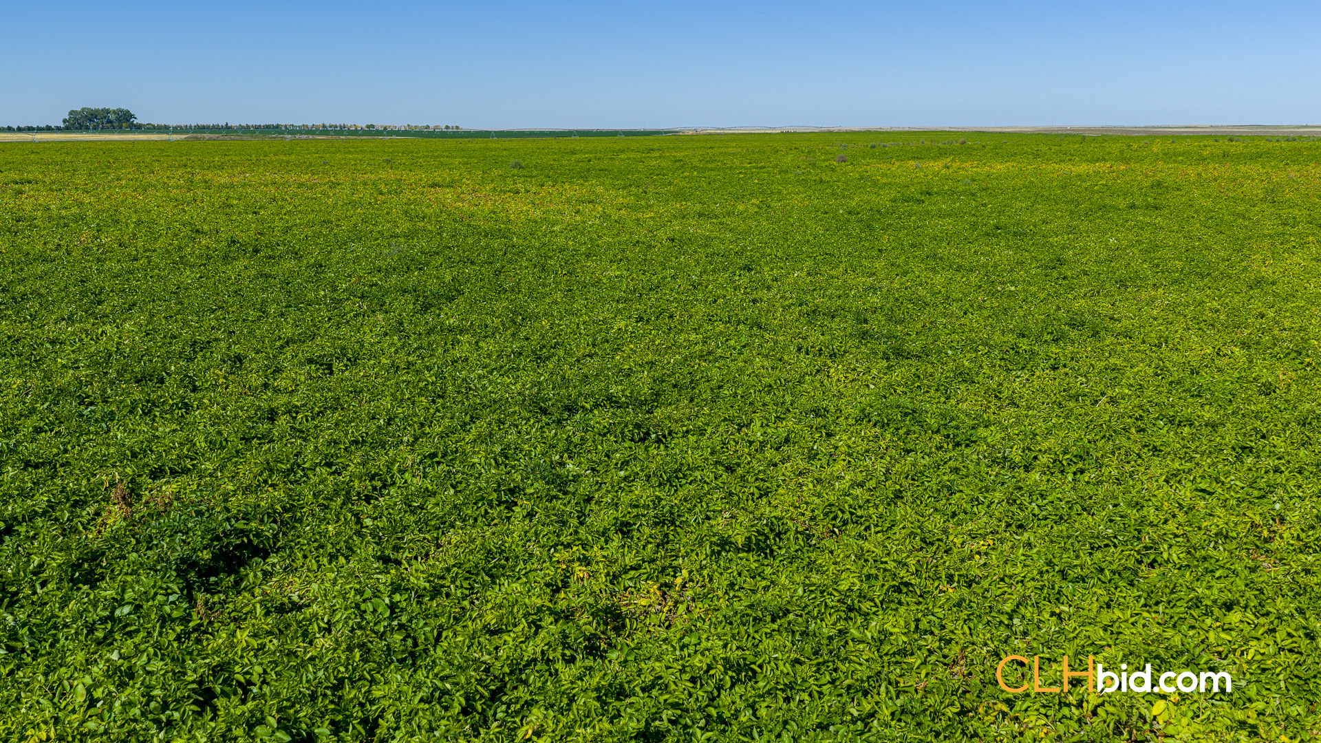 Web-MegaFortyMile-30