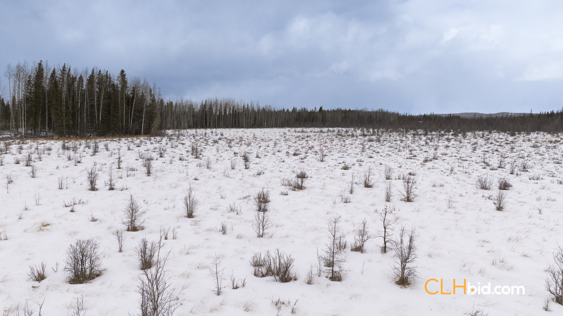 Web-HorseshoeLake-17