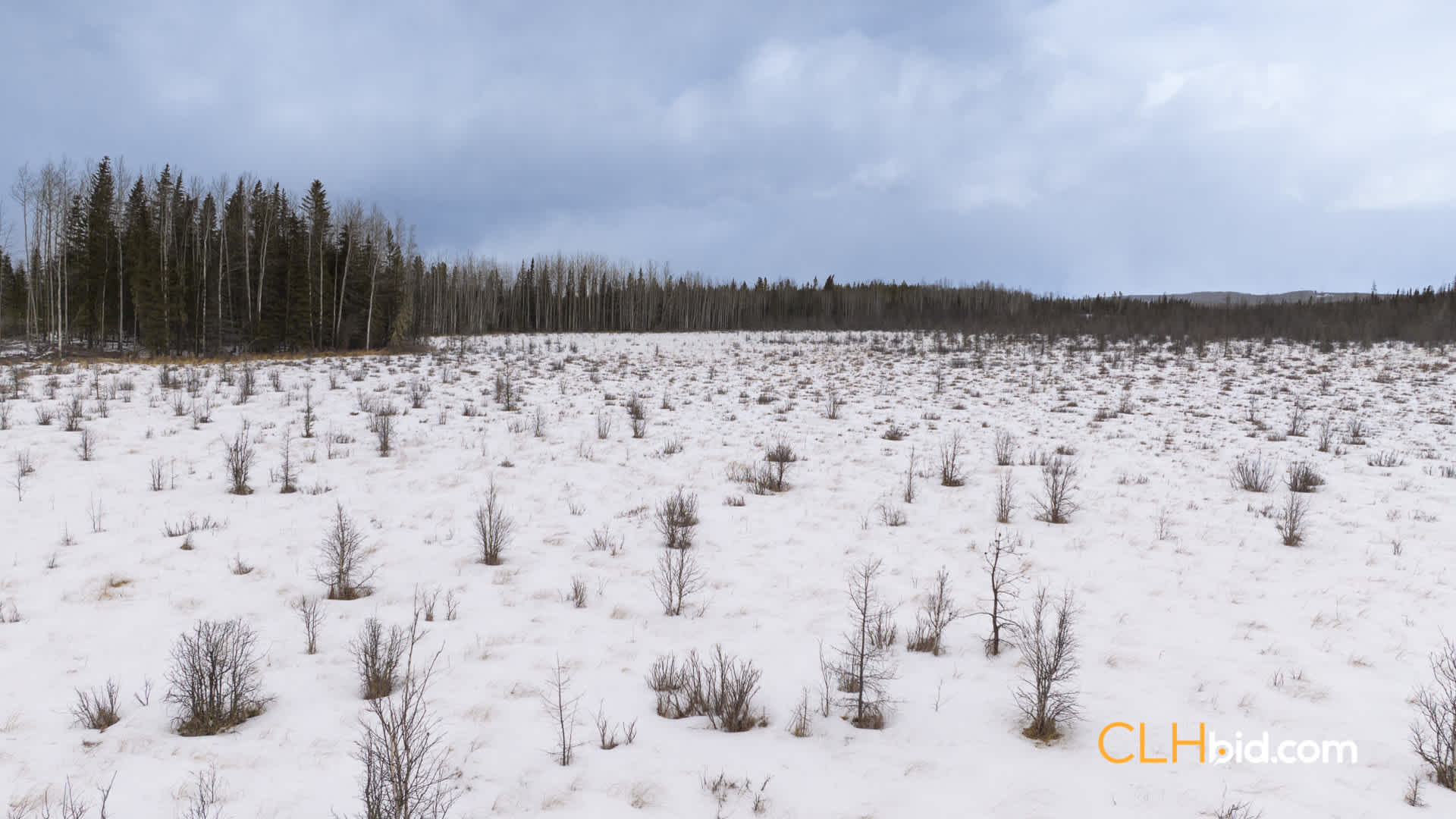 Web-HorseshoeLake-17