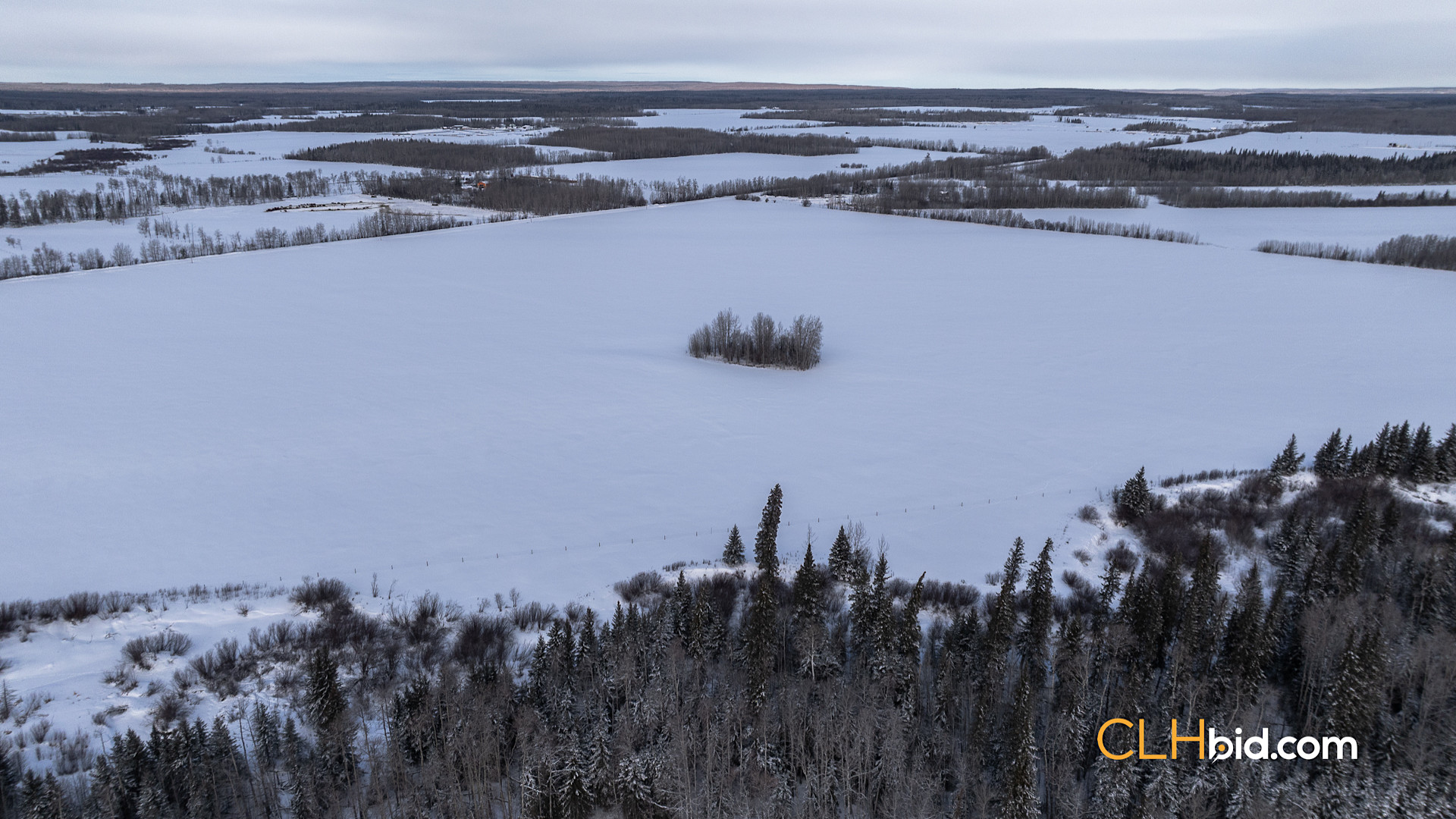 Web Unrestrained Funky-6