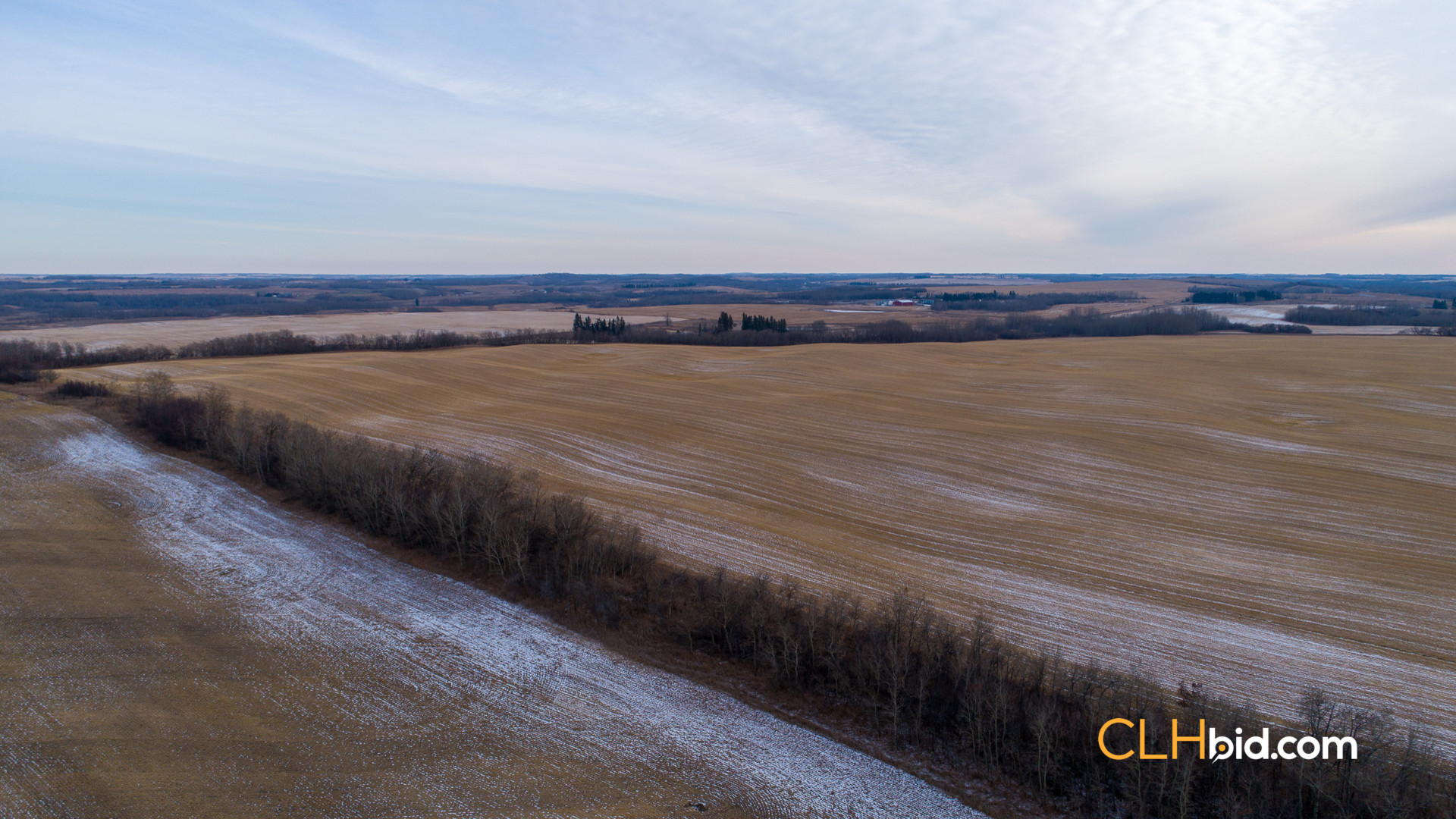 Web-Top-Shelf-160-18