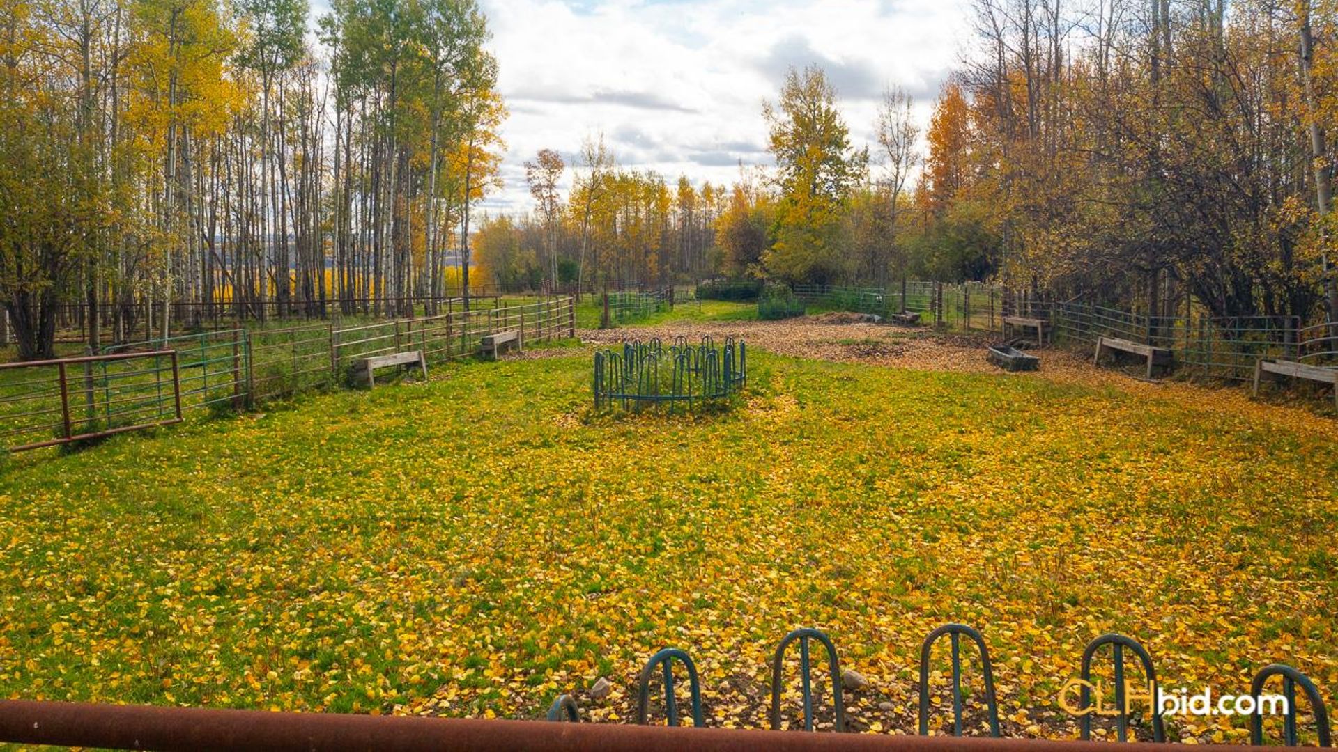 theranchonbradenroad-2-11