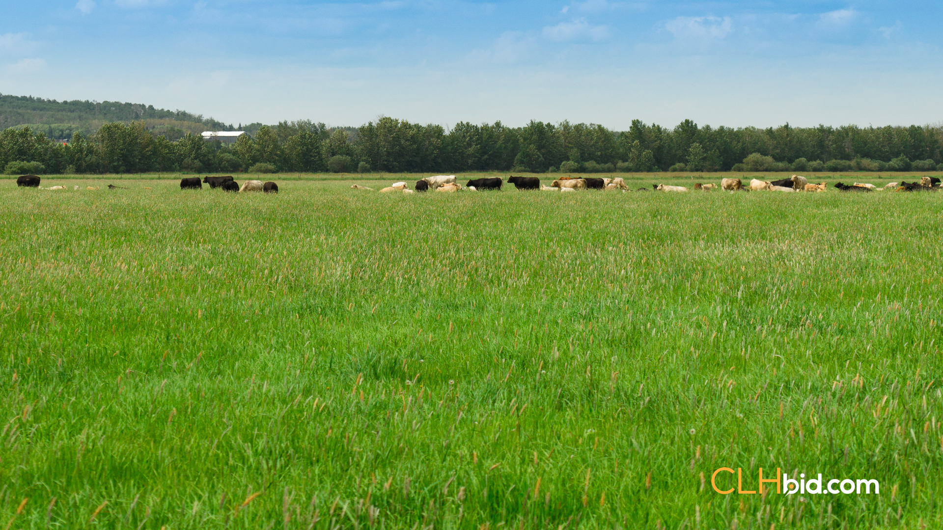 Web-SylvanLakeCountry-9