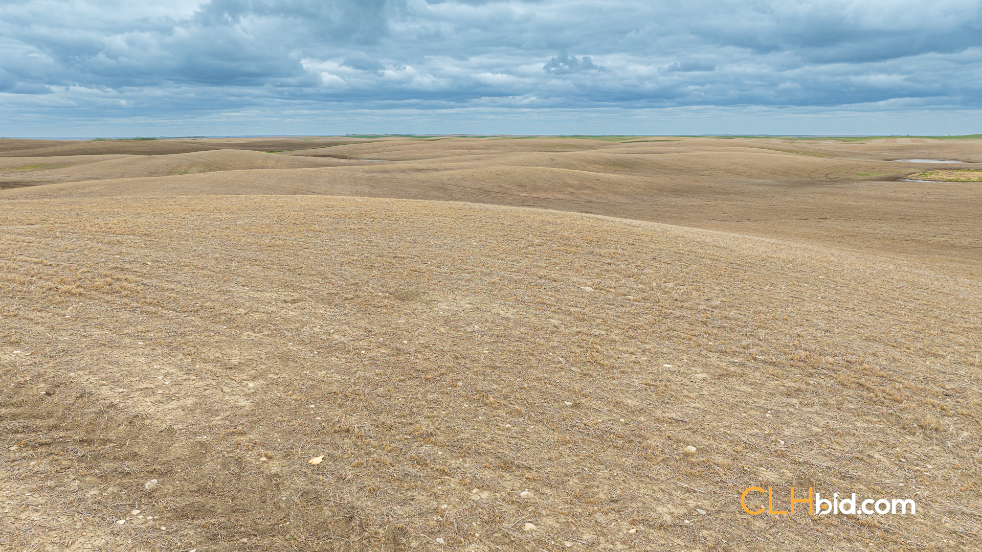 Web-LegacyMoveNEW-59