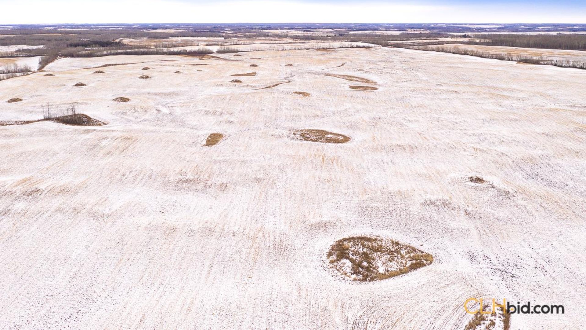 barrheadbigoptions-1-4