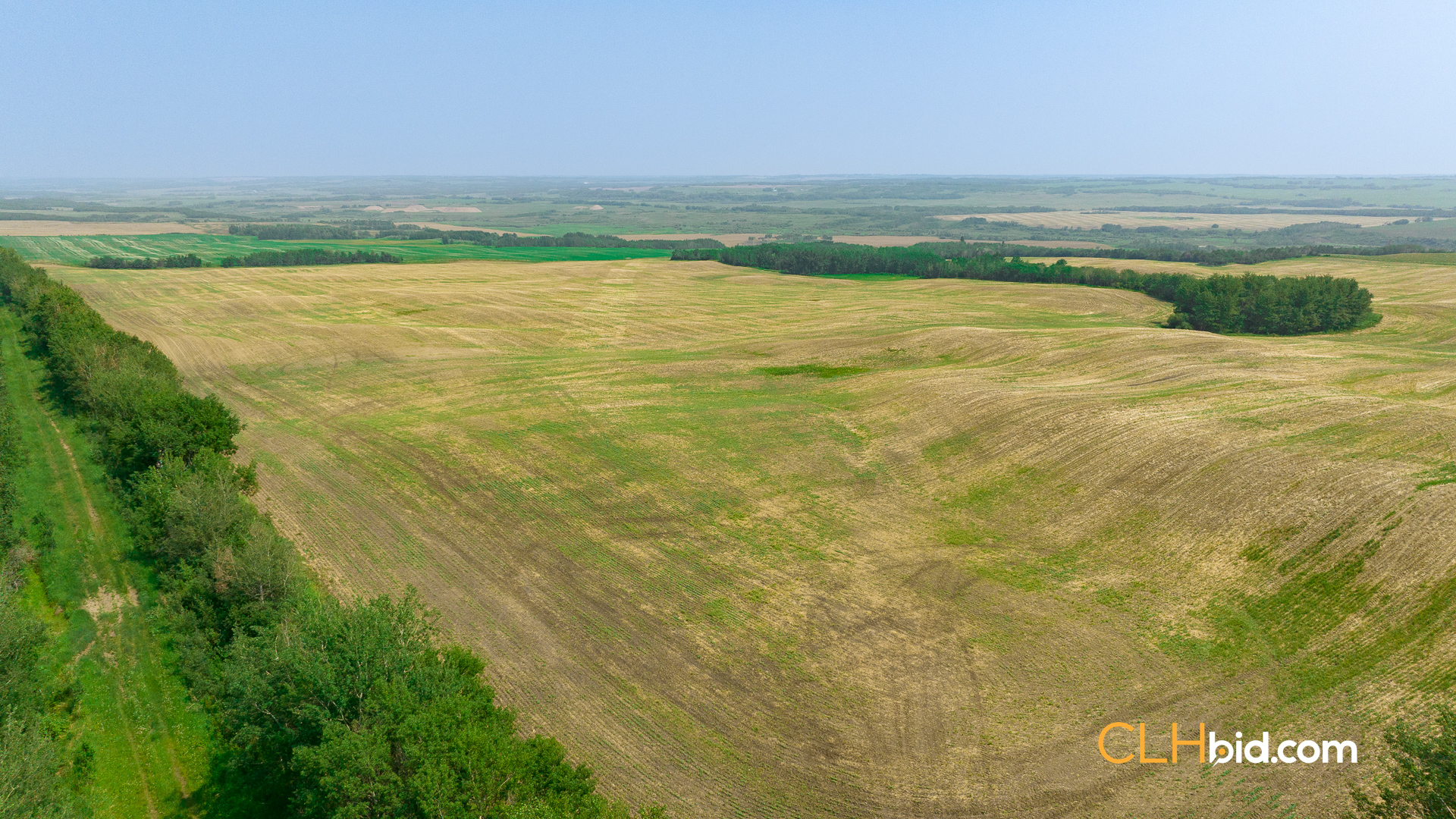 Web-Innisfree8Summer-51