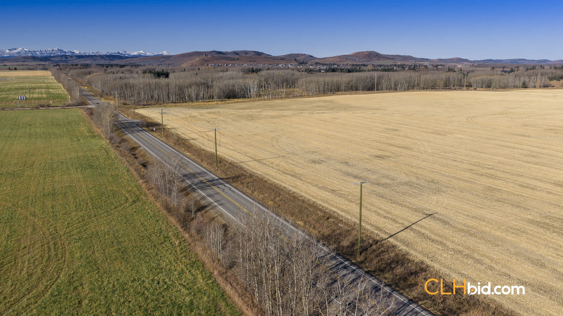 Web-Foothills-13