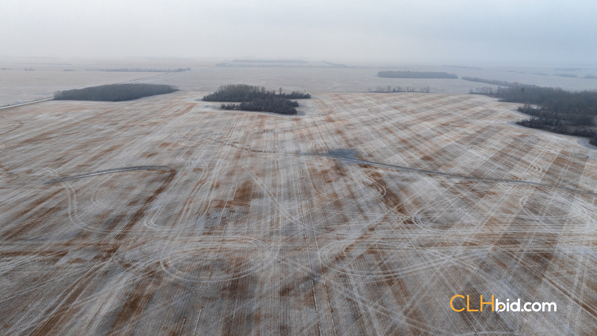 Web Tangent Bounty-5