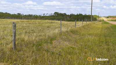 Game On Rancher