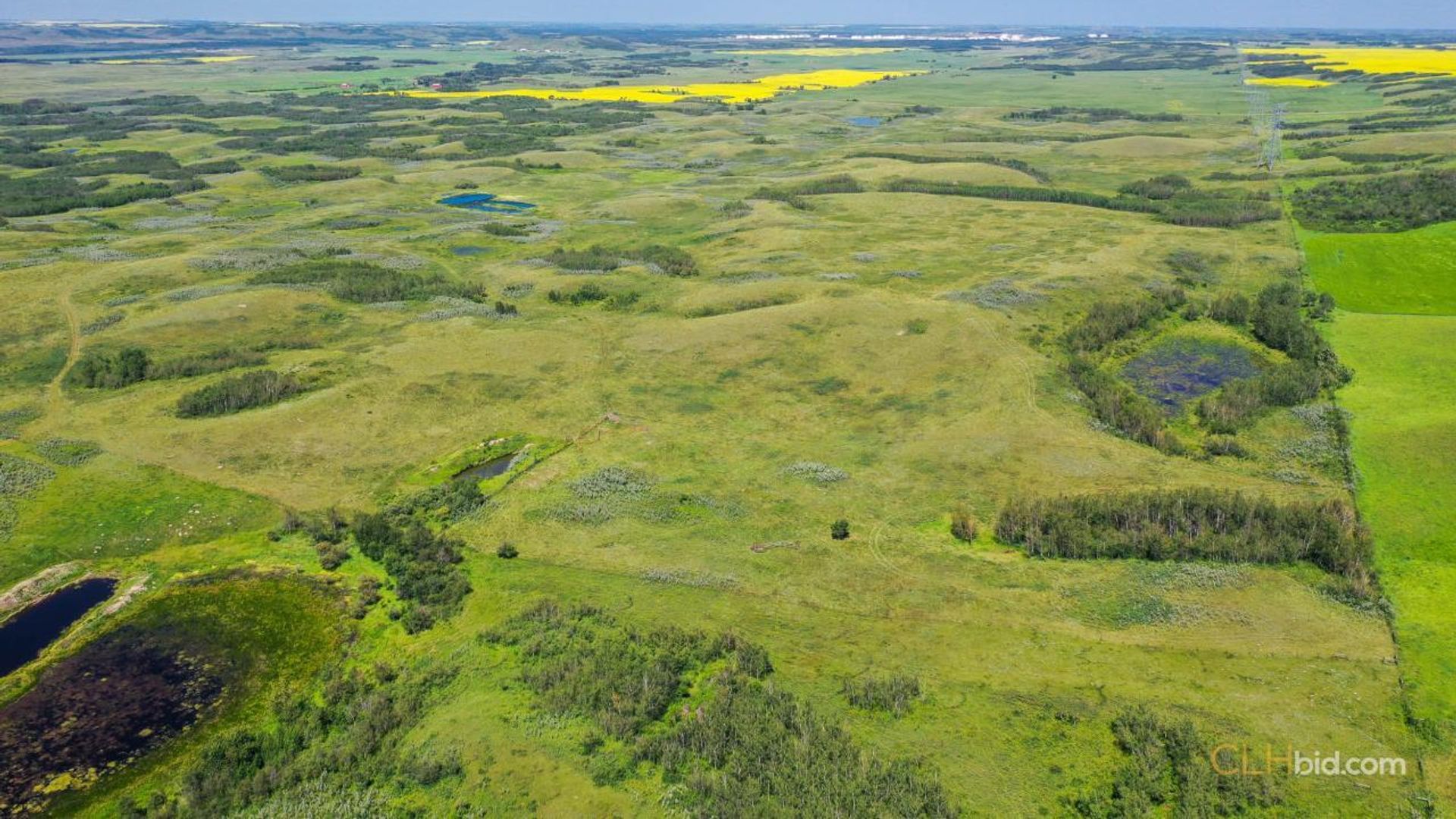 lazyadiamondranch-3-3