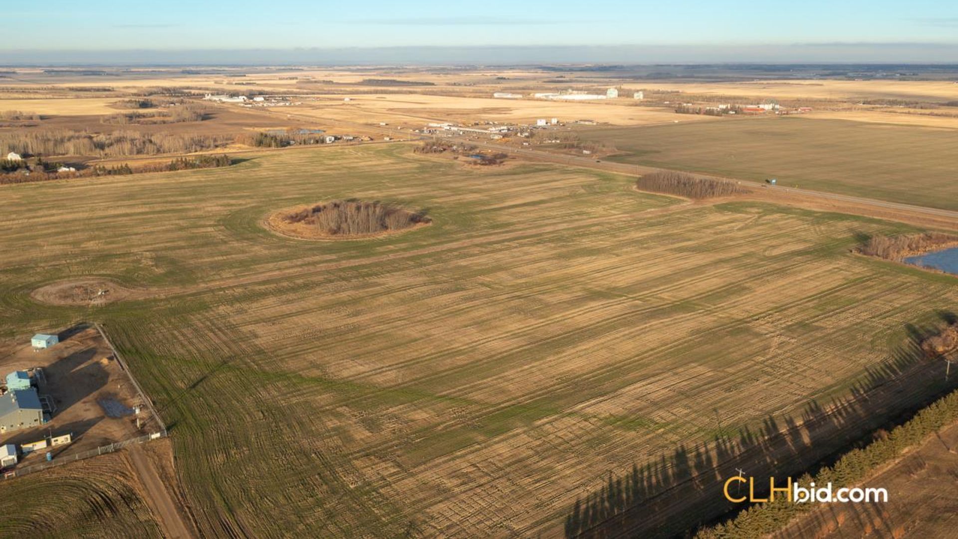 landyoursturgeon-1-2